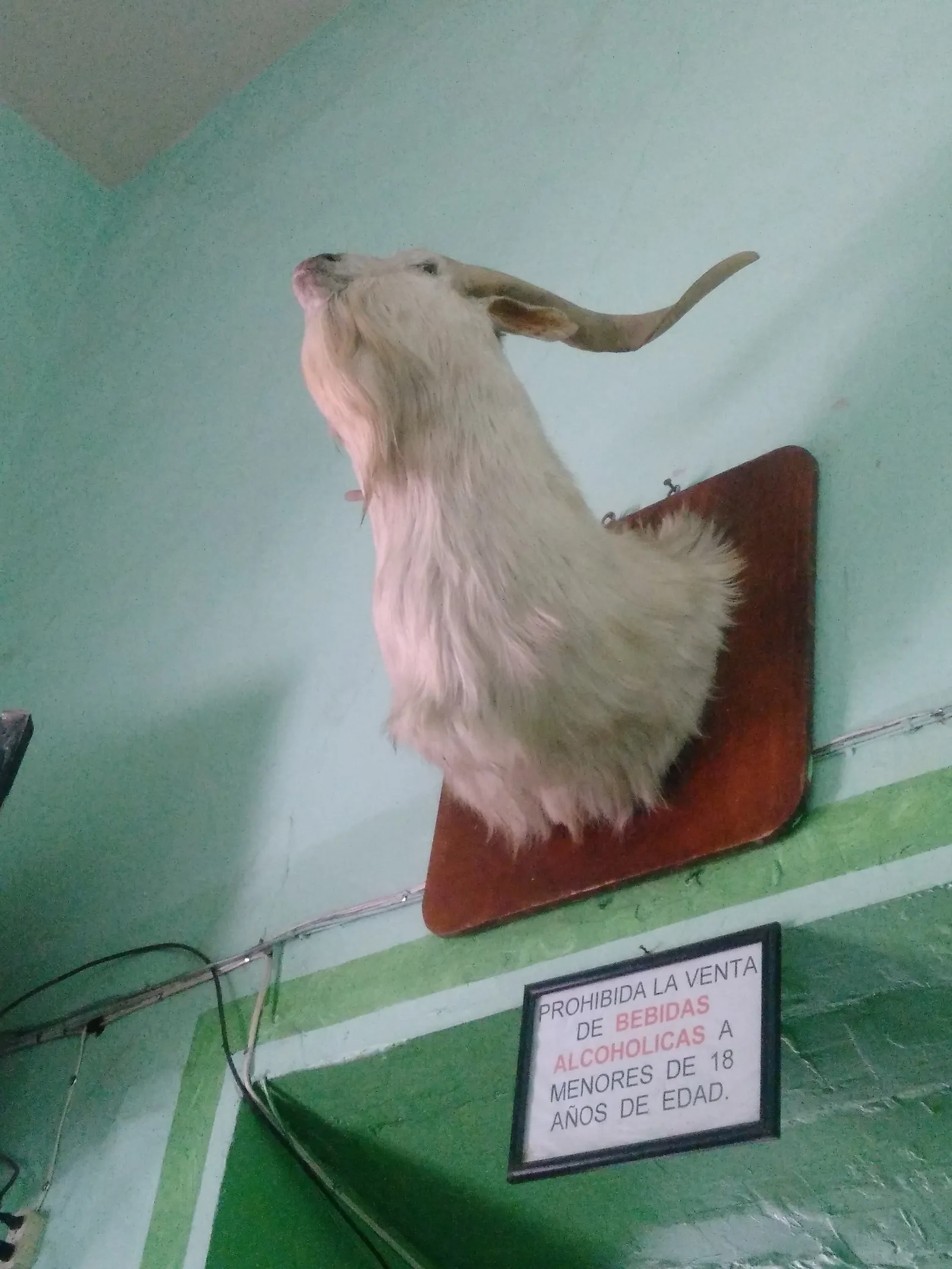 Birrieria Pancho image 9