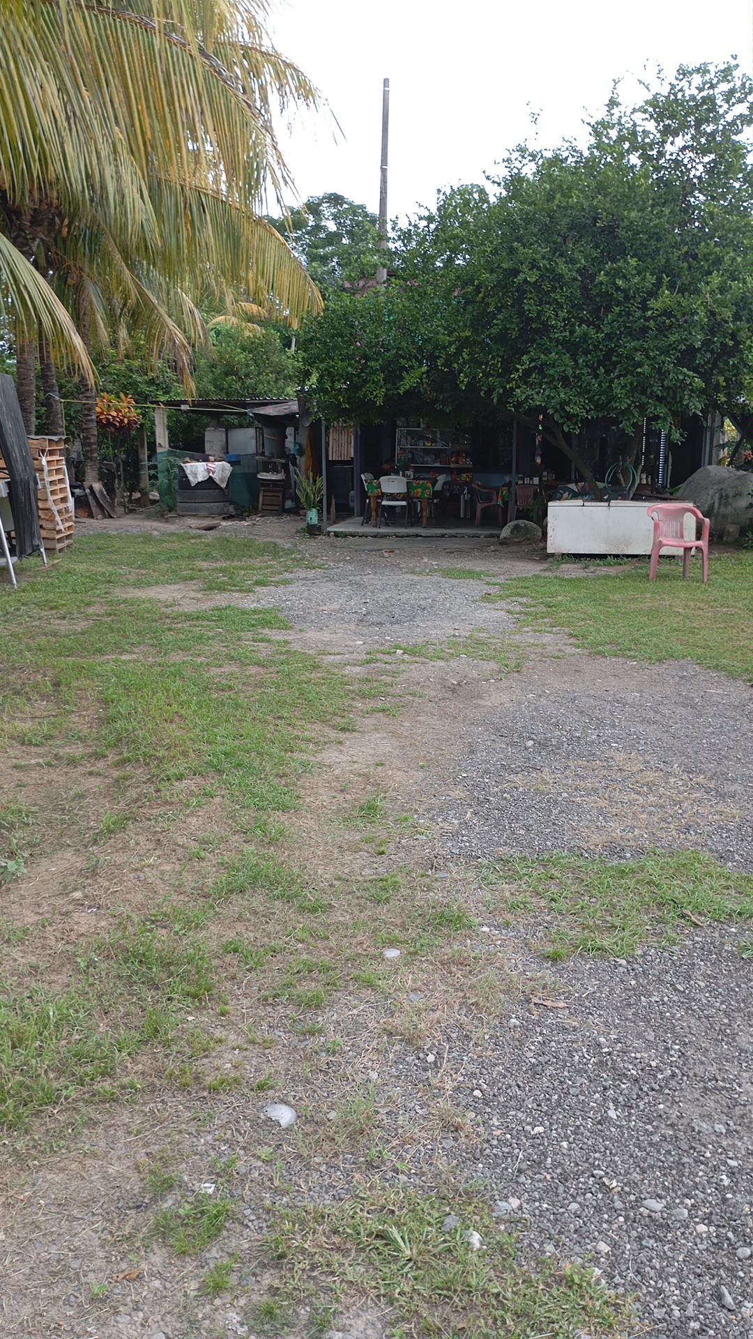 Comedor Jian 1 image 2