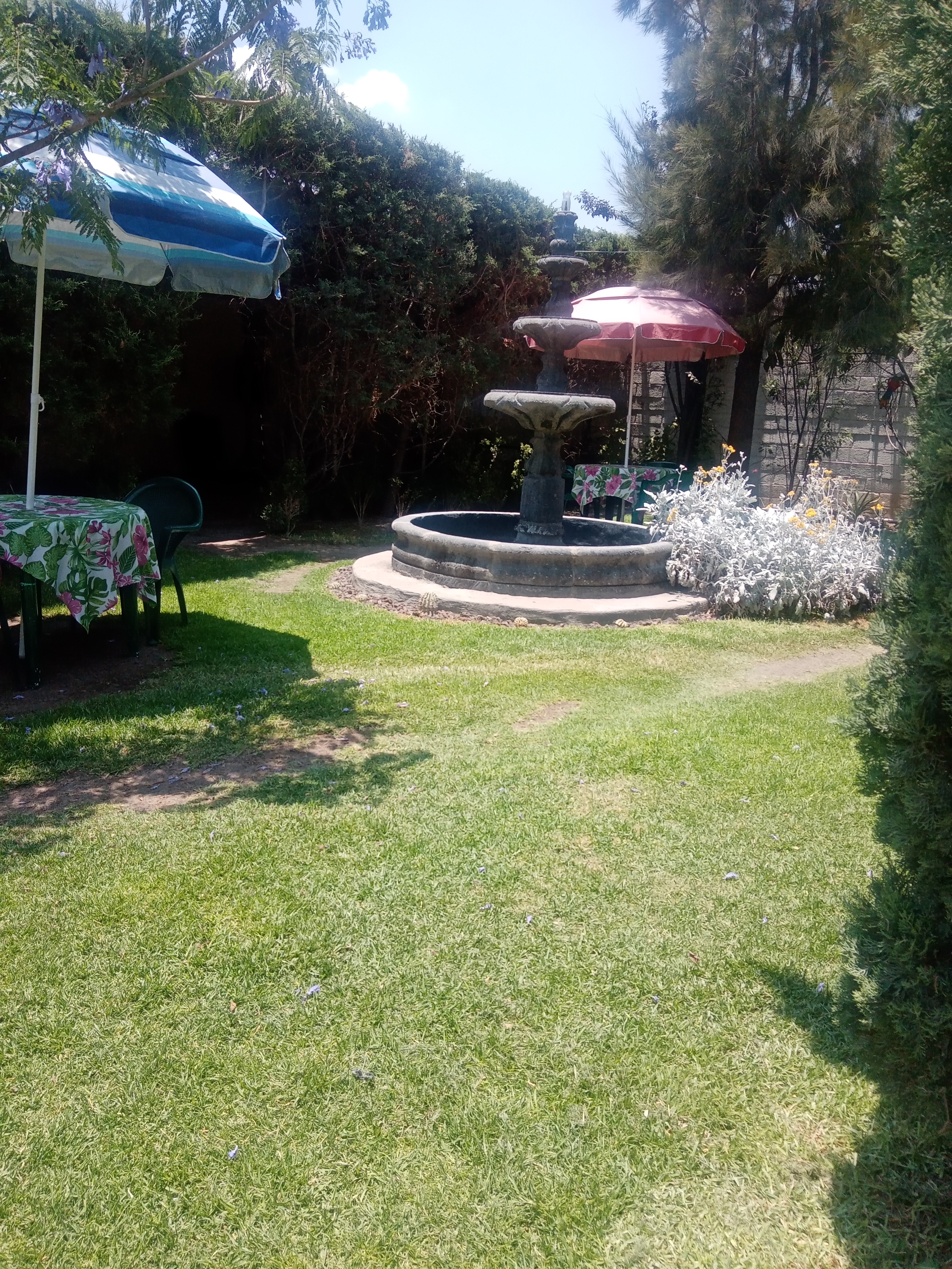 Antojitos “La Fuente“ image 4