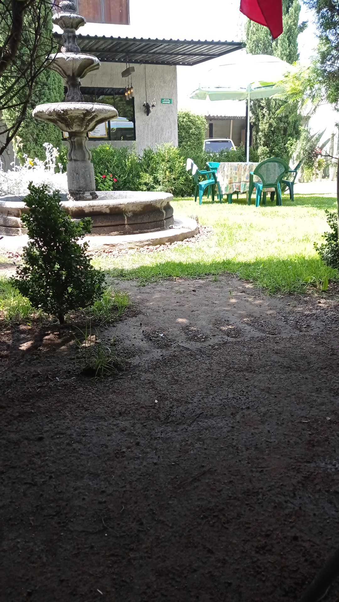 Antojitos “La Fuente“ image 6