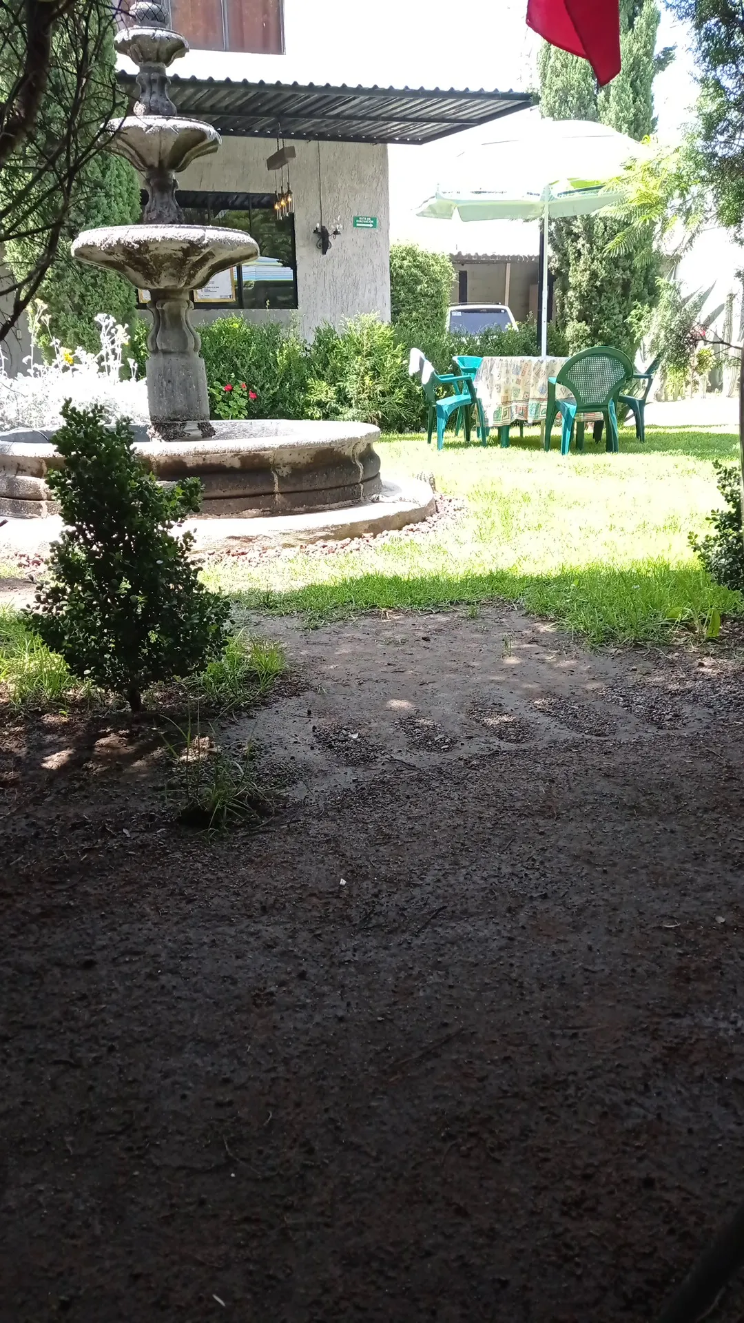 Antojitos “La Fuente“ image 6
