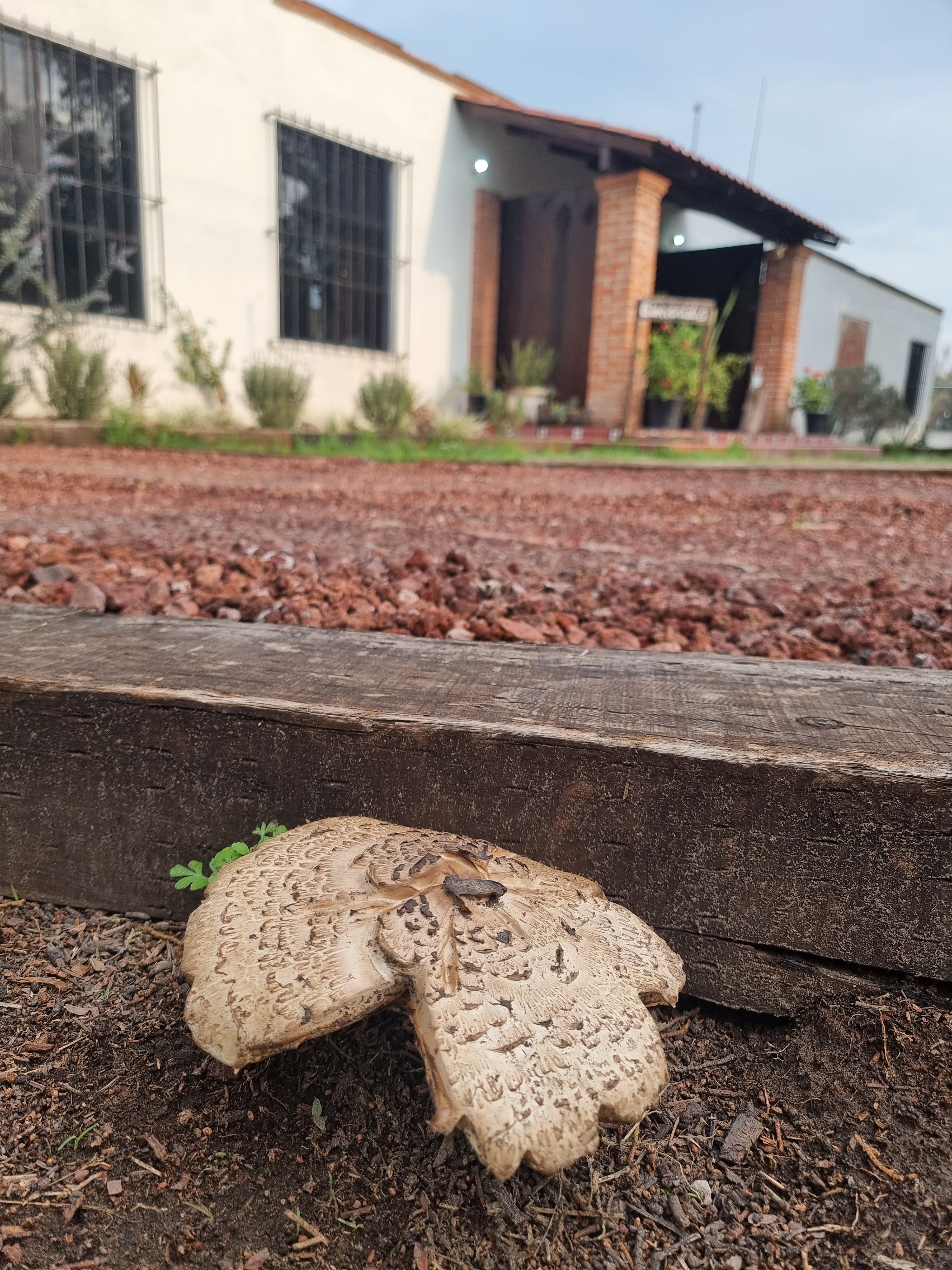 El Campanario image 8