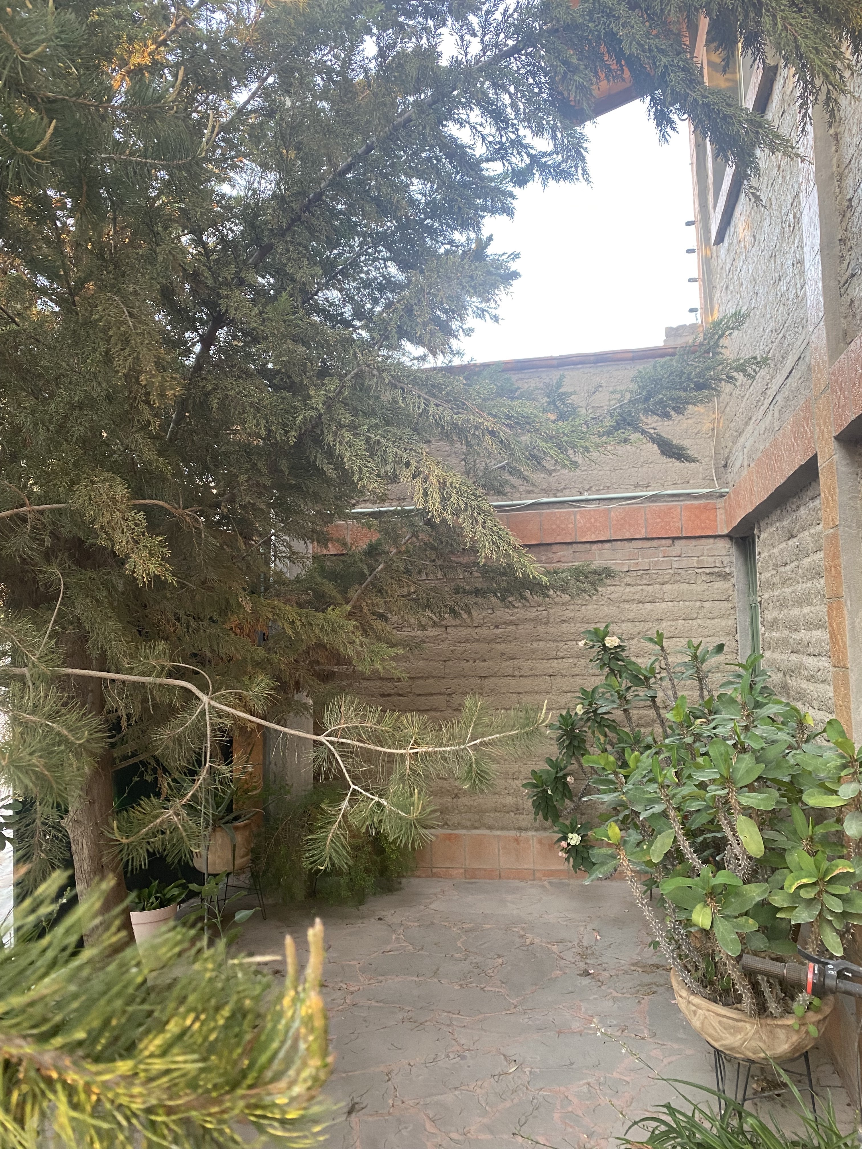 El Mesón de Santillana (antes Café Santillana) image 4