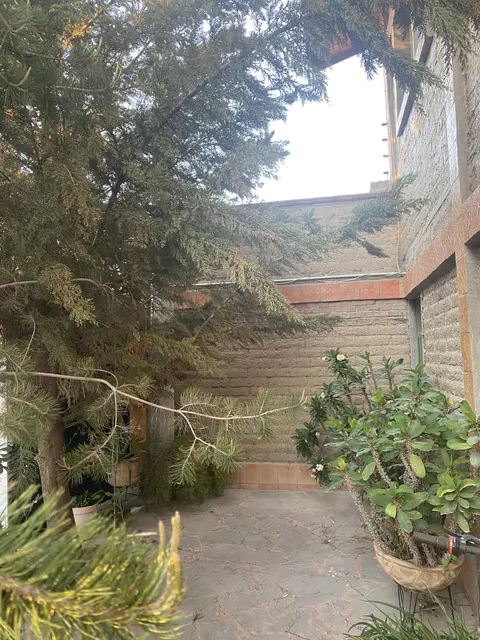 El Mesón de Santillana (antes Café Santillana) image 4