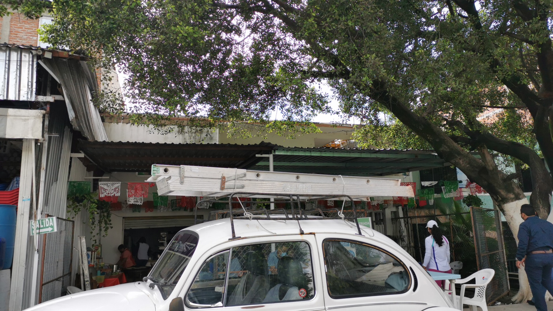 Antojitos Mexicanos "Moreno" image 4