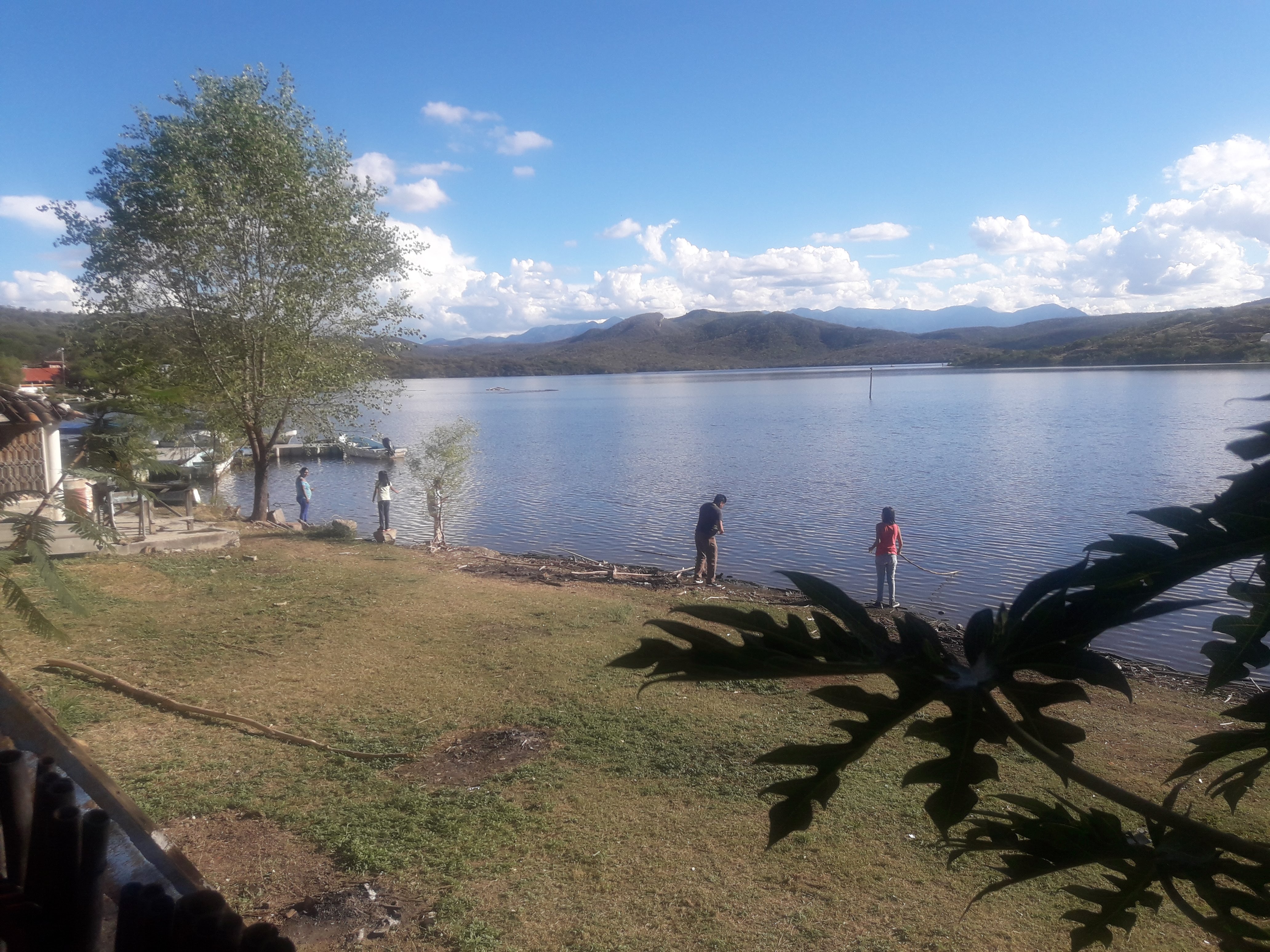 El Perico Marinero image 2