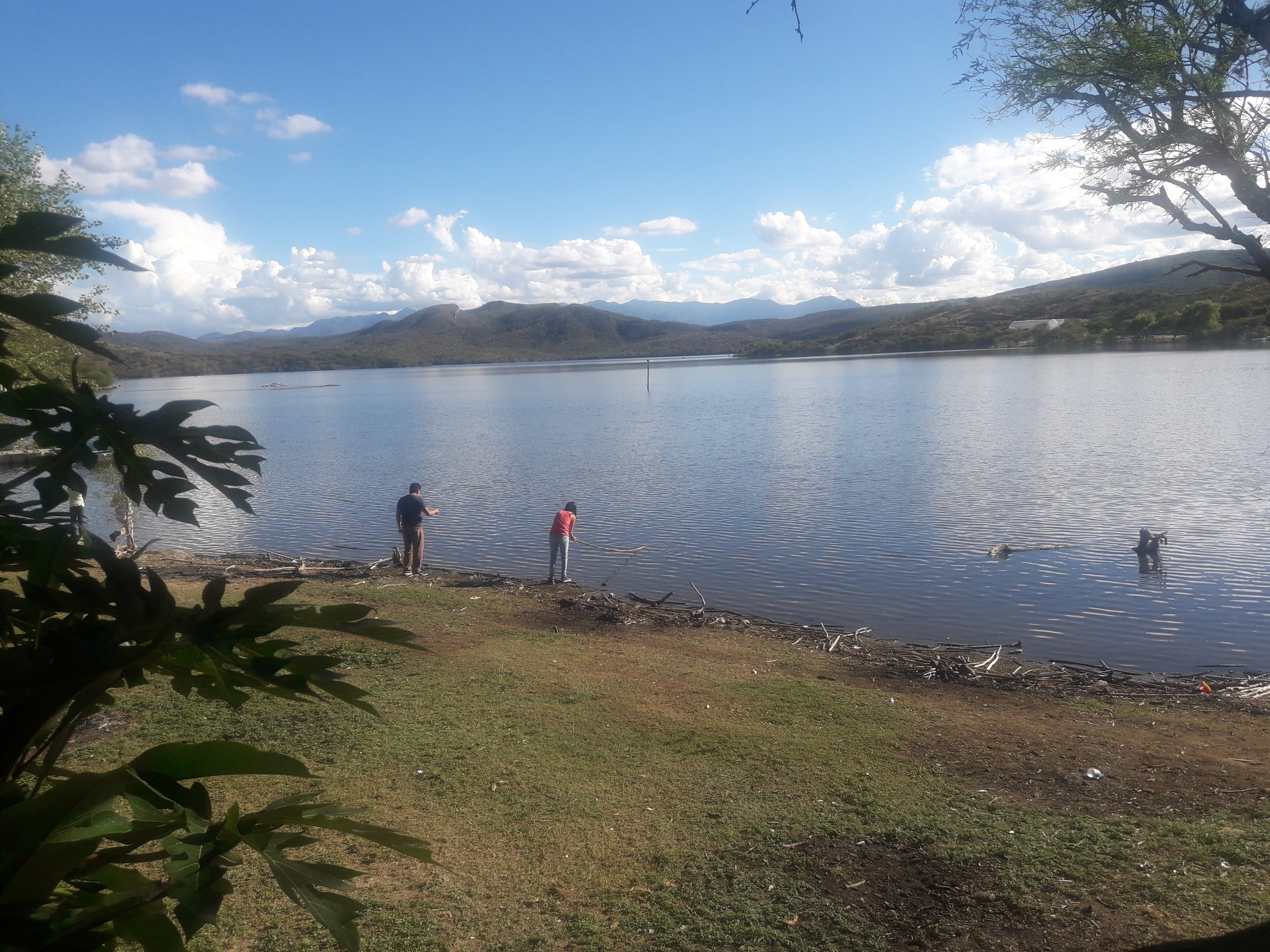 El Perico Marinero image 9