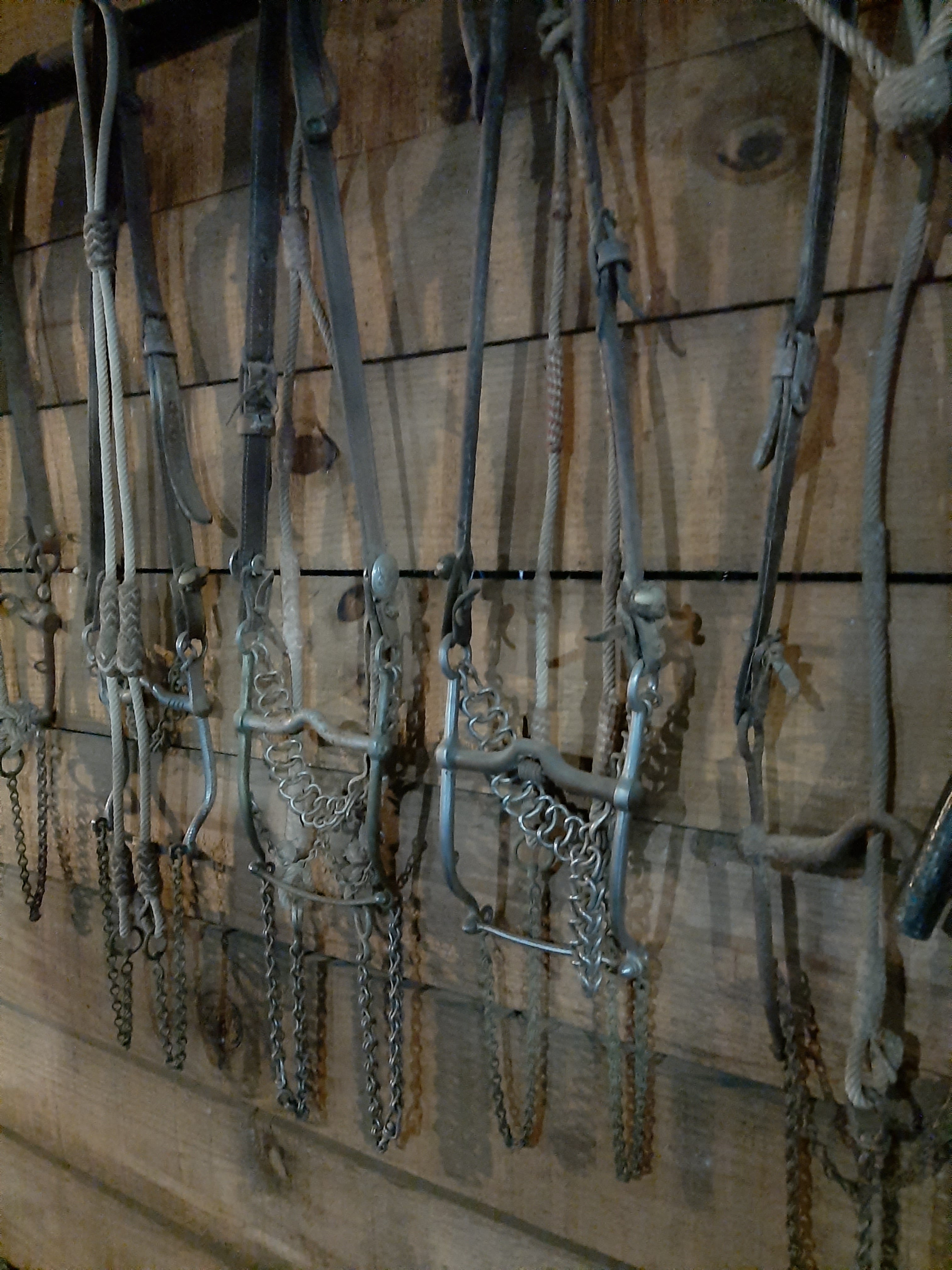 Finca de Vaqueros Pochutla image 9