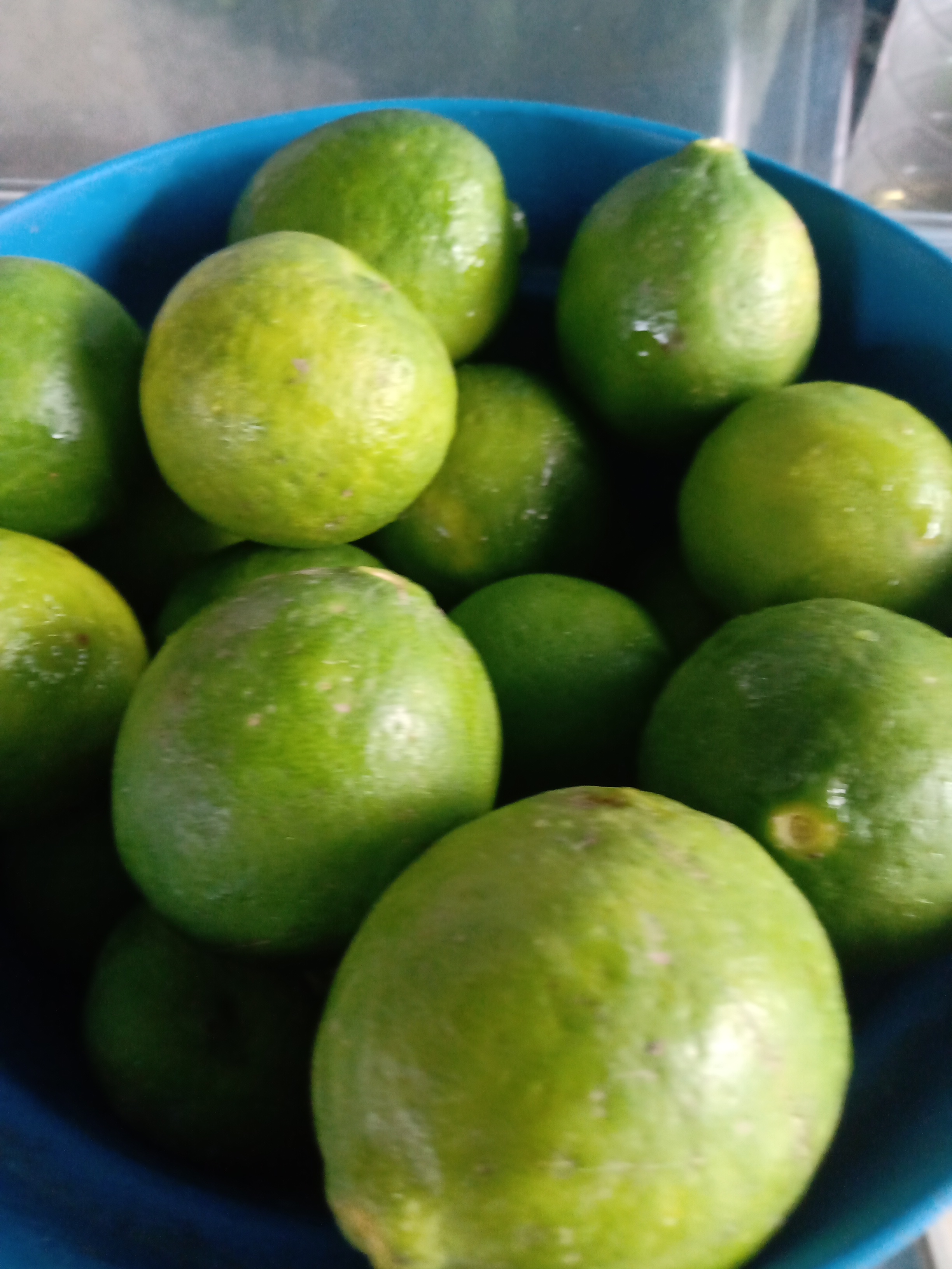 Taquería Tenchita image 9