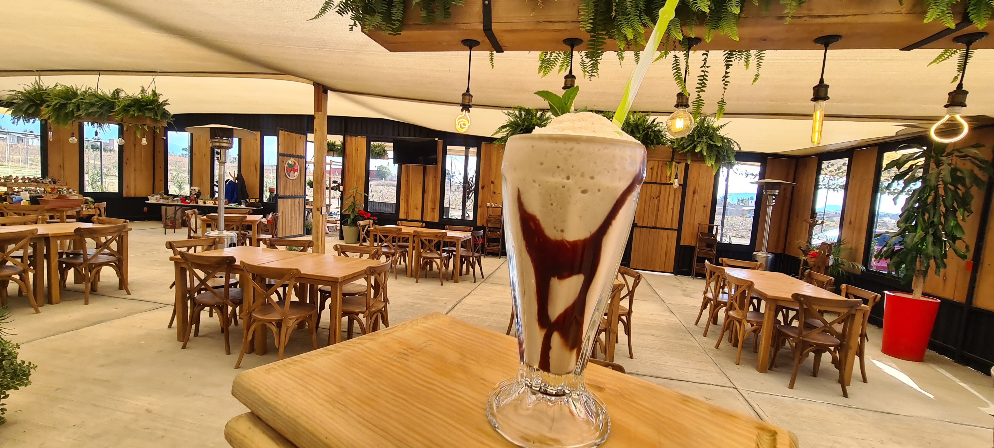 El Grande Vivero Cafe image 1