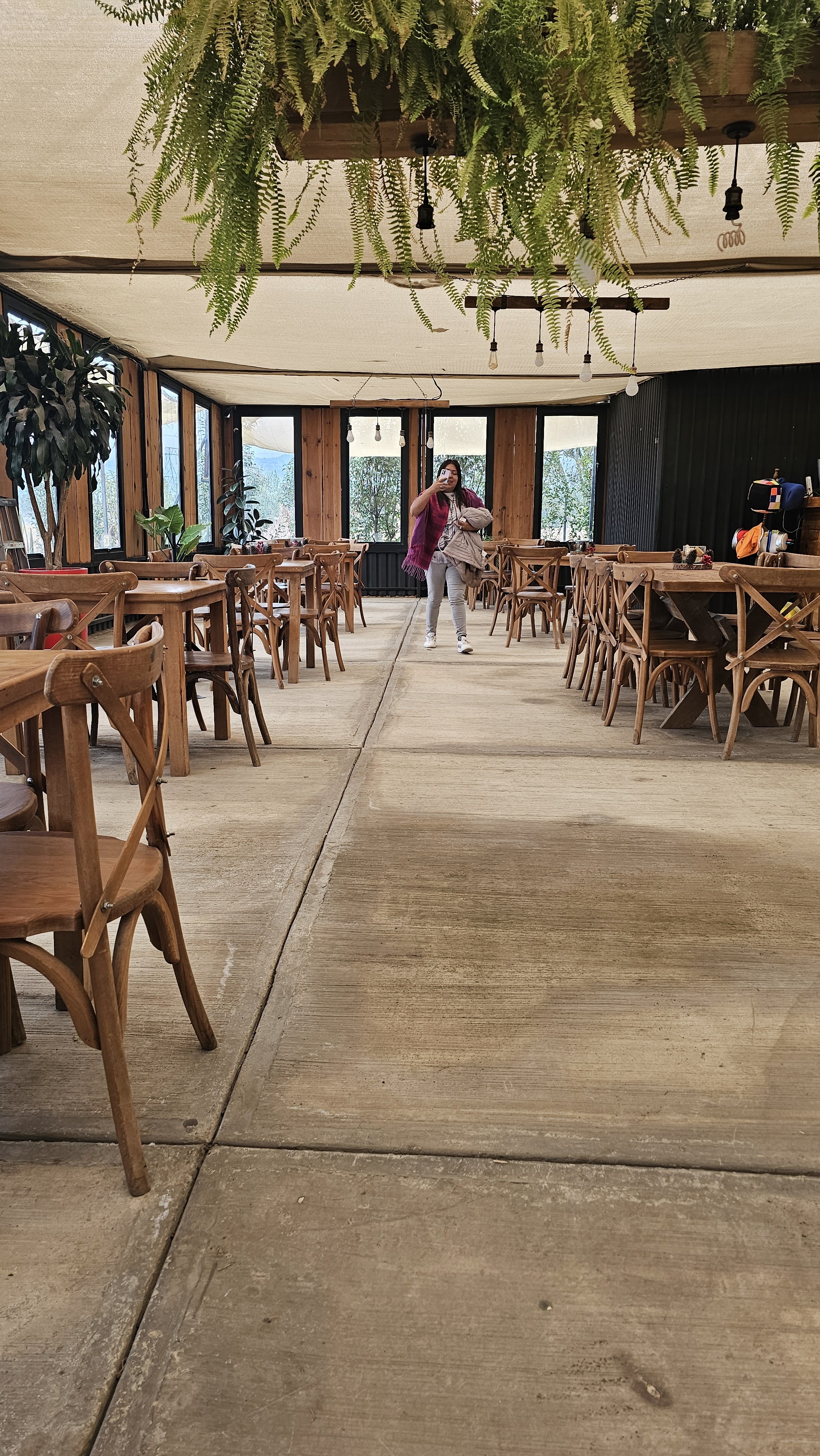 El Grande Vivero Cafe image 6