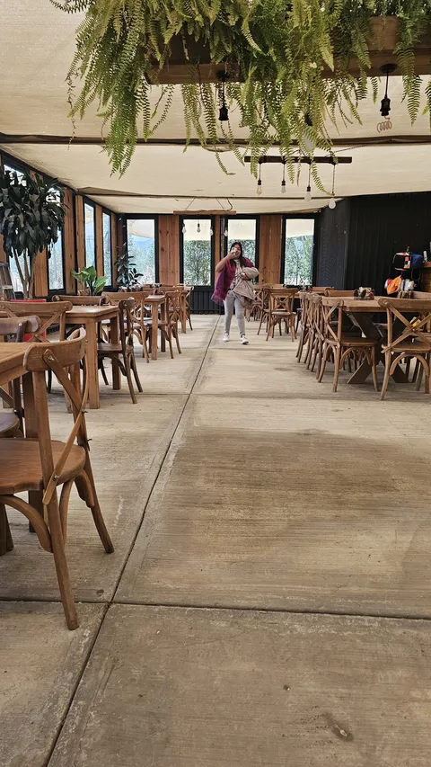 El Grande Vivero Cafe image 6