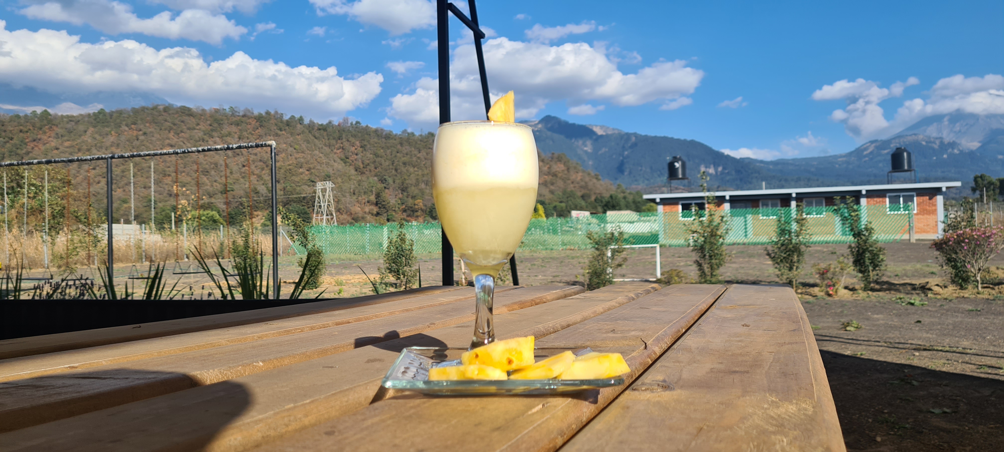 El Grande Vivero Cafe image 9