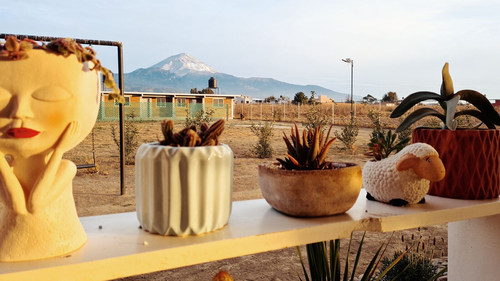 El Grande Vivero Cafe image 10
