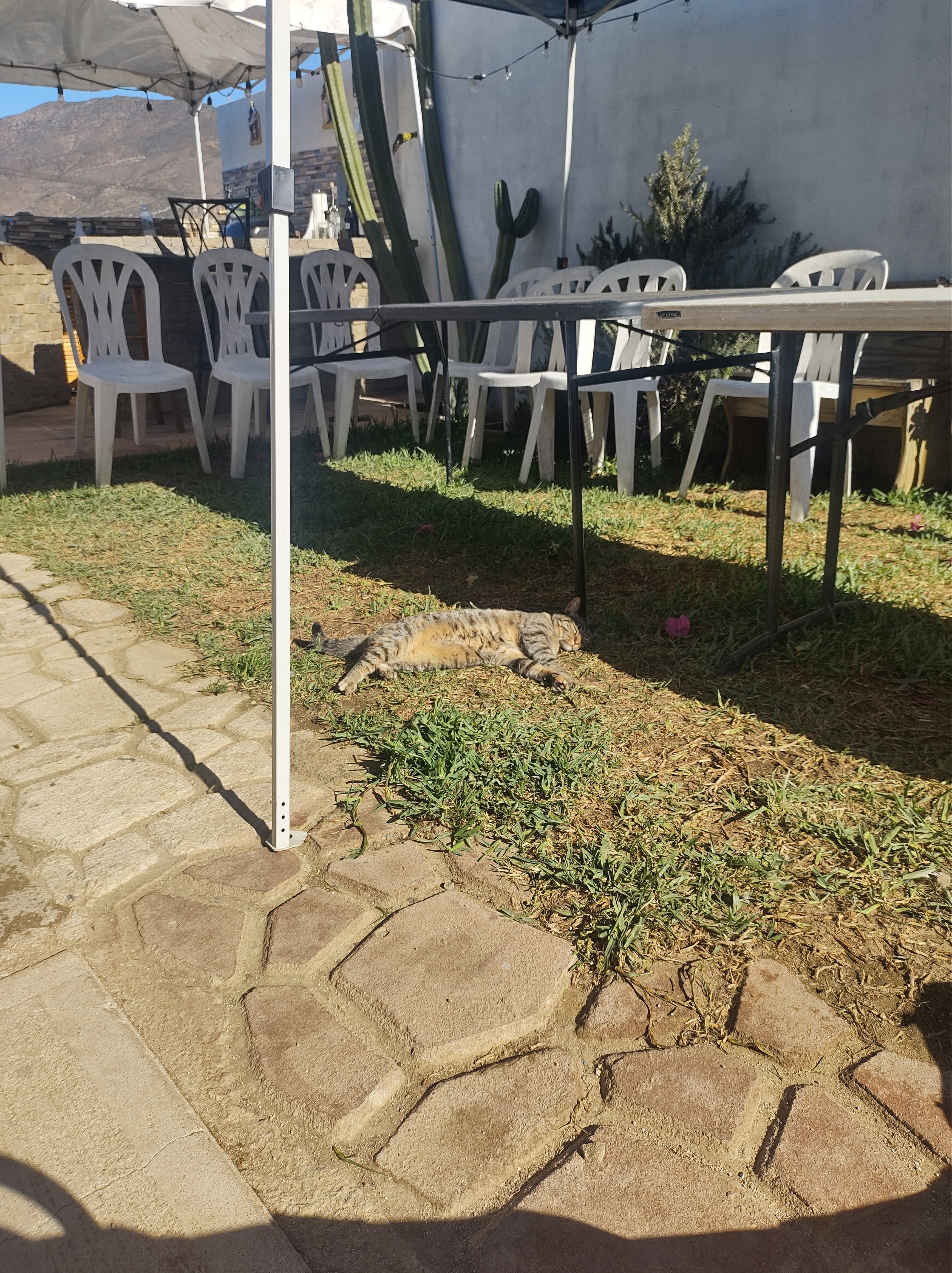 Fernando Grill image 3