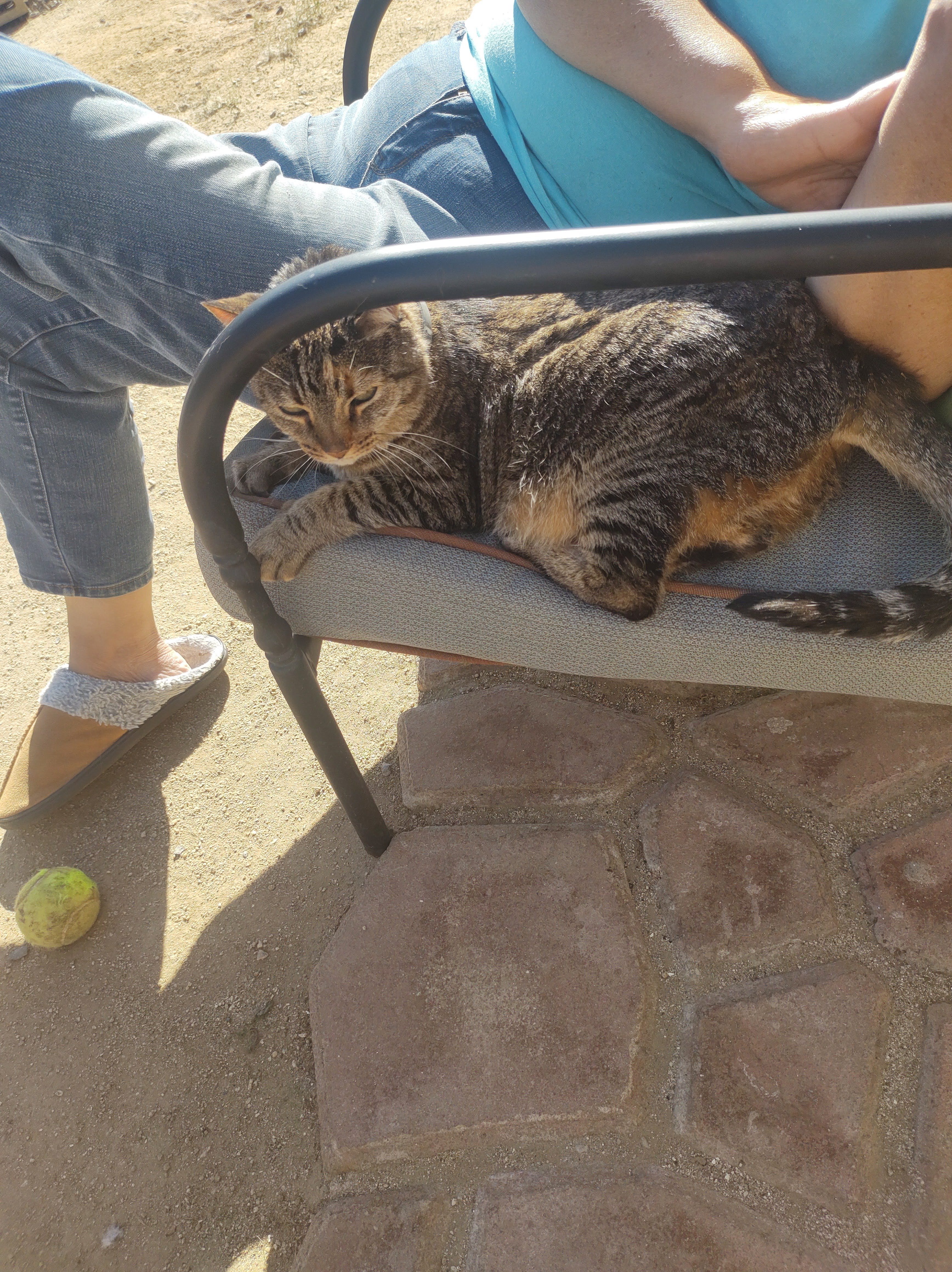 Fernando Grill image 5