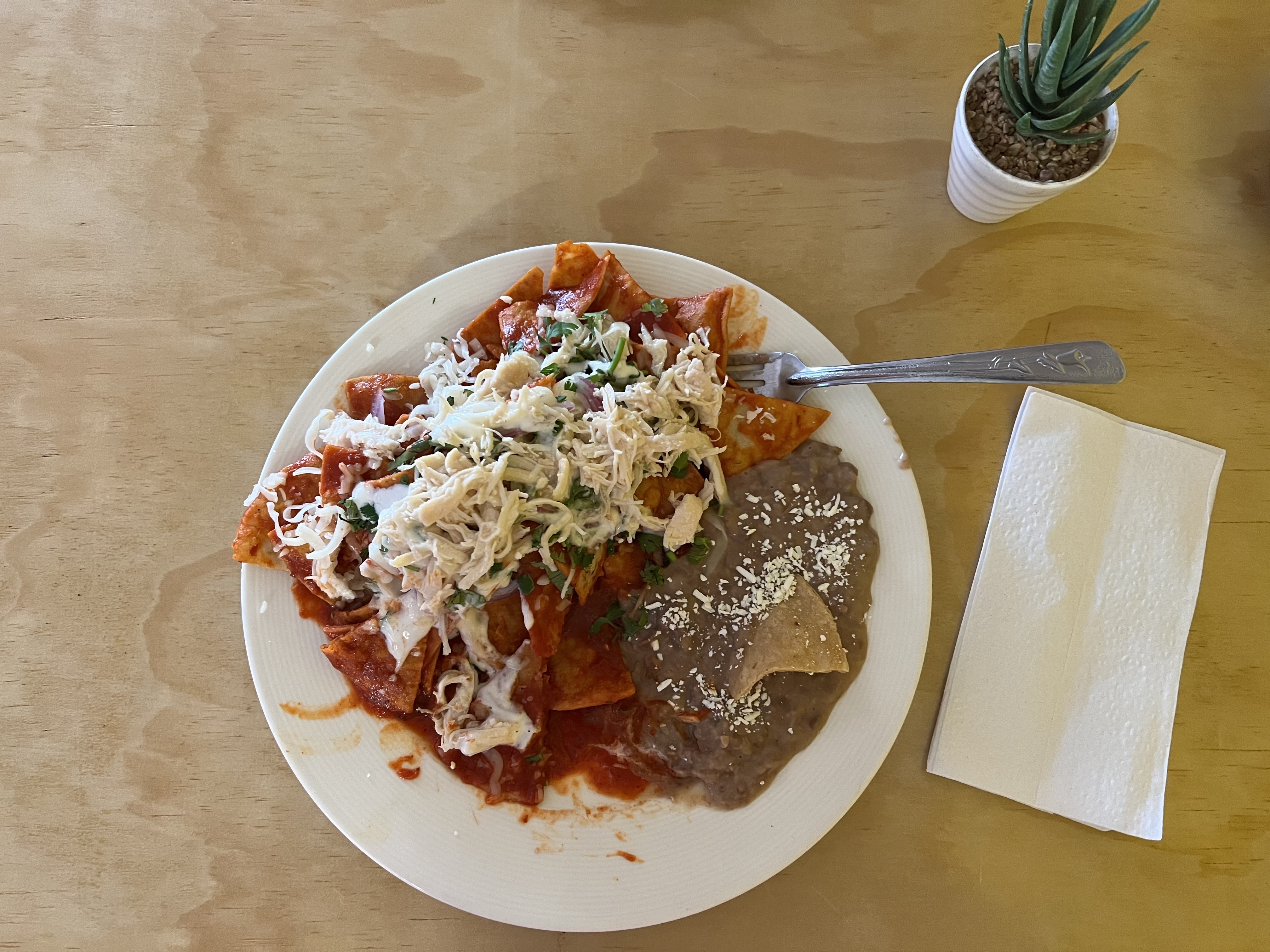 Chilakeria Crudens image 2