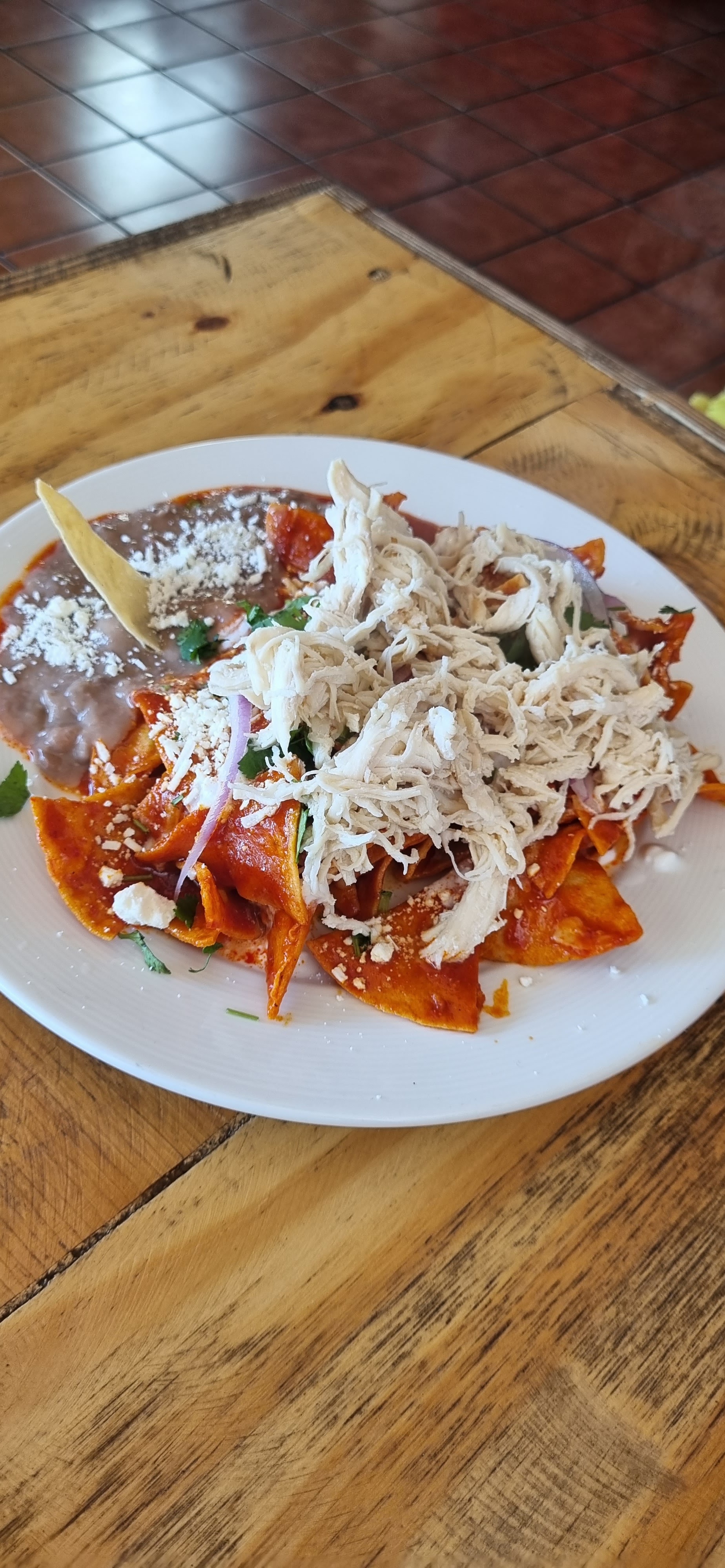 Chilakeria Crudens image 4