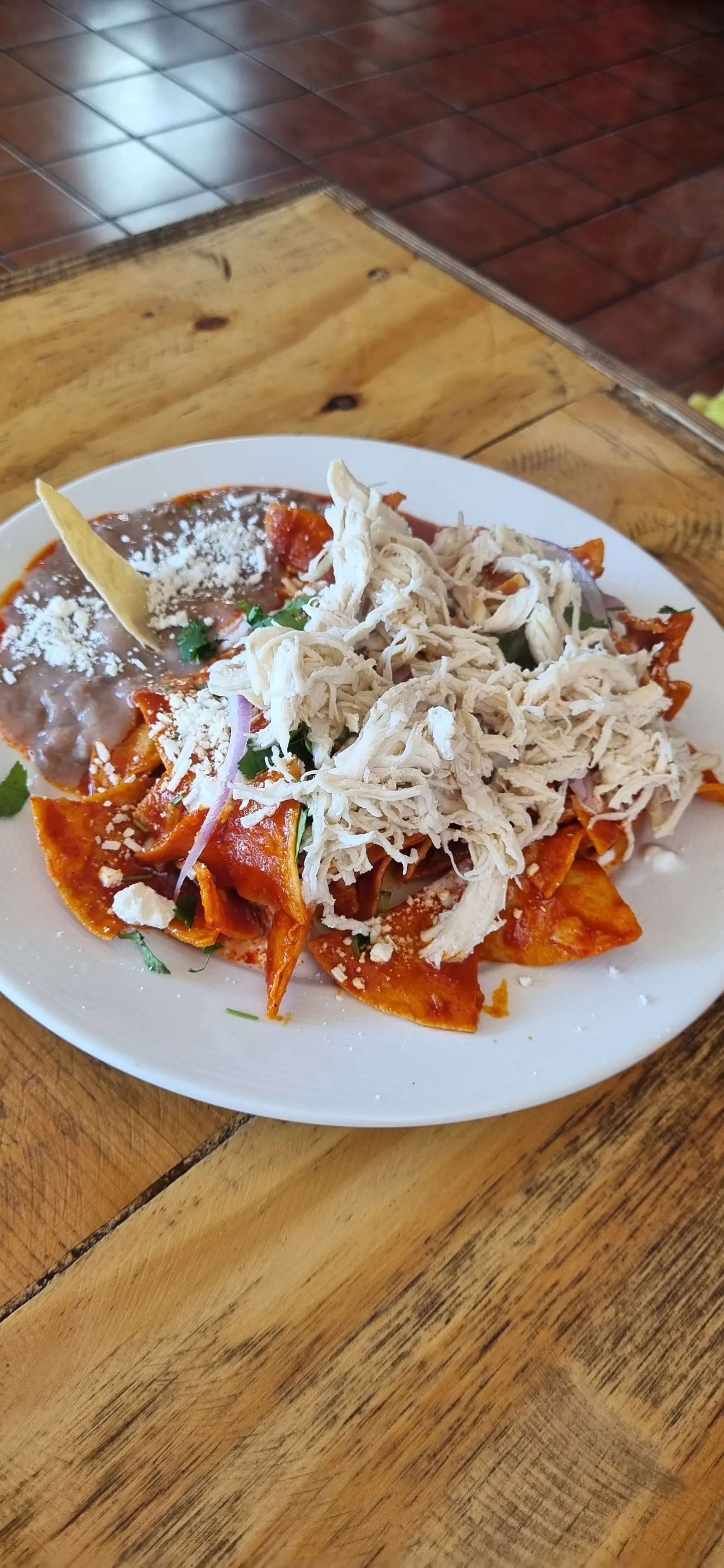 Chilakeria Crudens image 4