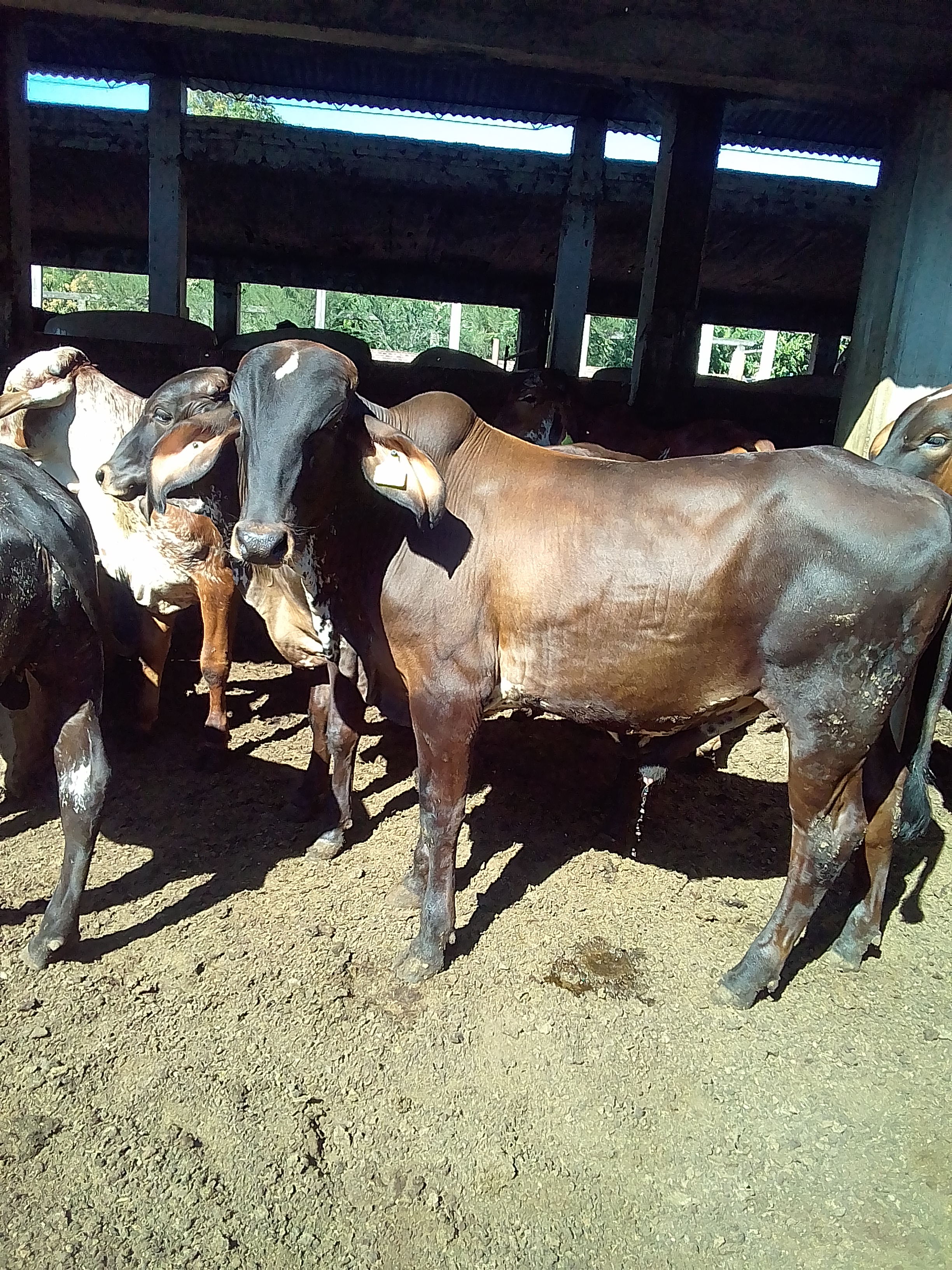 Birrieria Chucho image 2