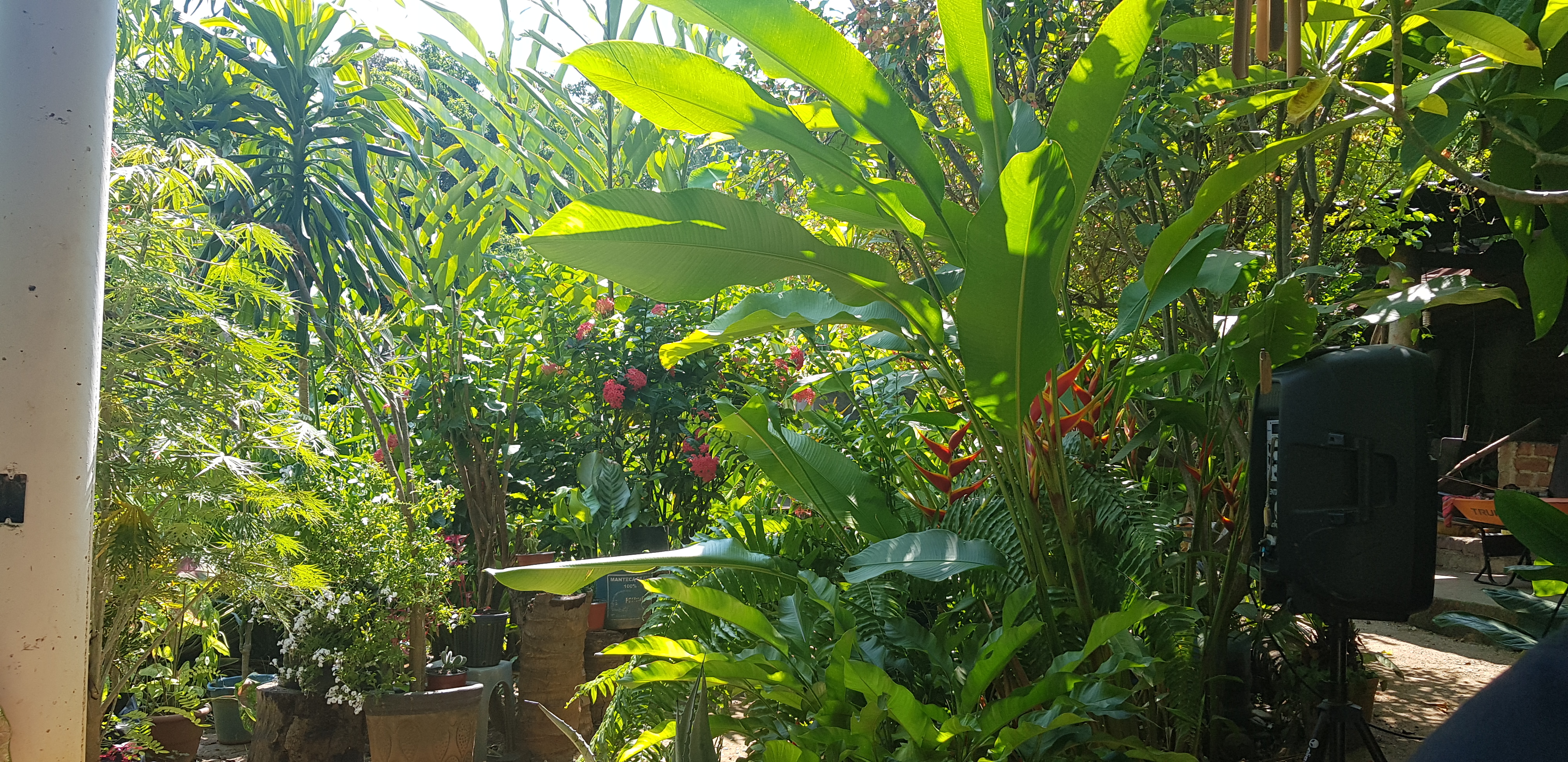 Carniceria y Comida Tradicional Don Rody image 4