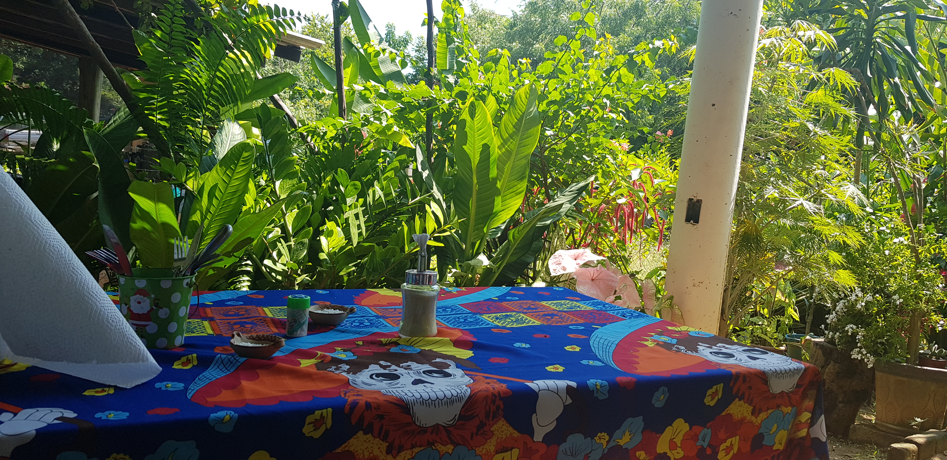 Carniceria y Comida Tradicional Don Rody image 6