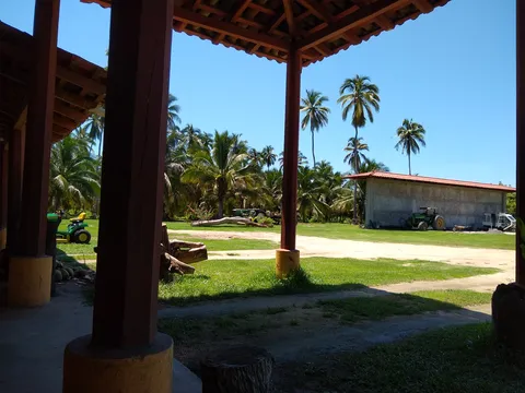 Rest. PALMARES image 2