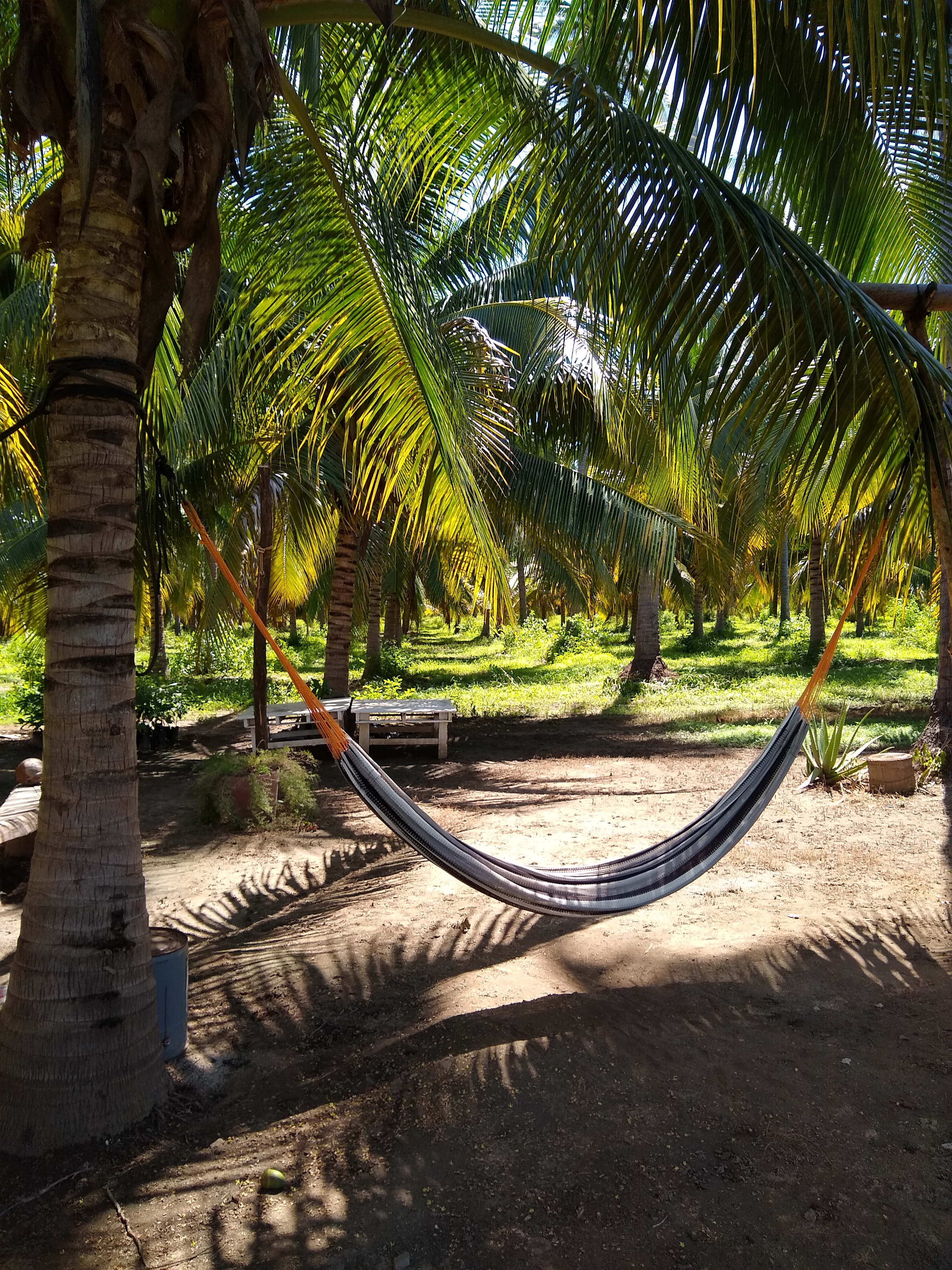 Rest. PALMARES image 5