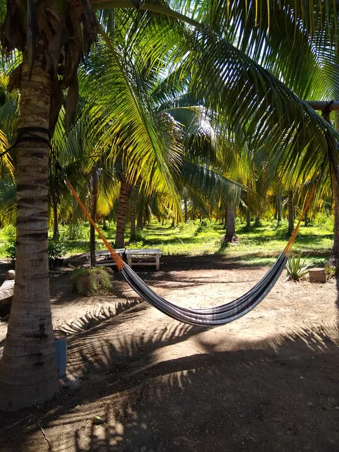Rest. PALMARES image 5