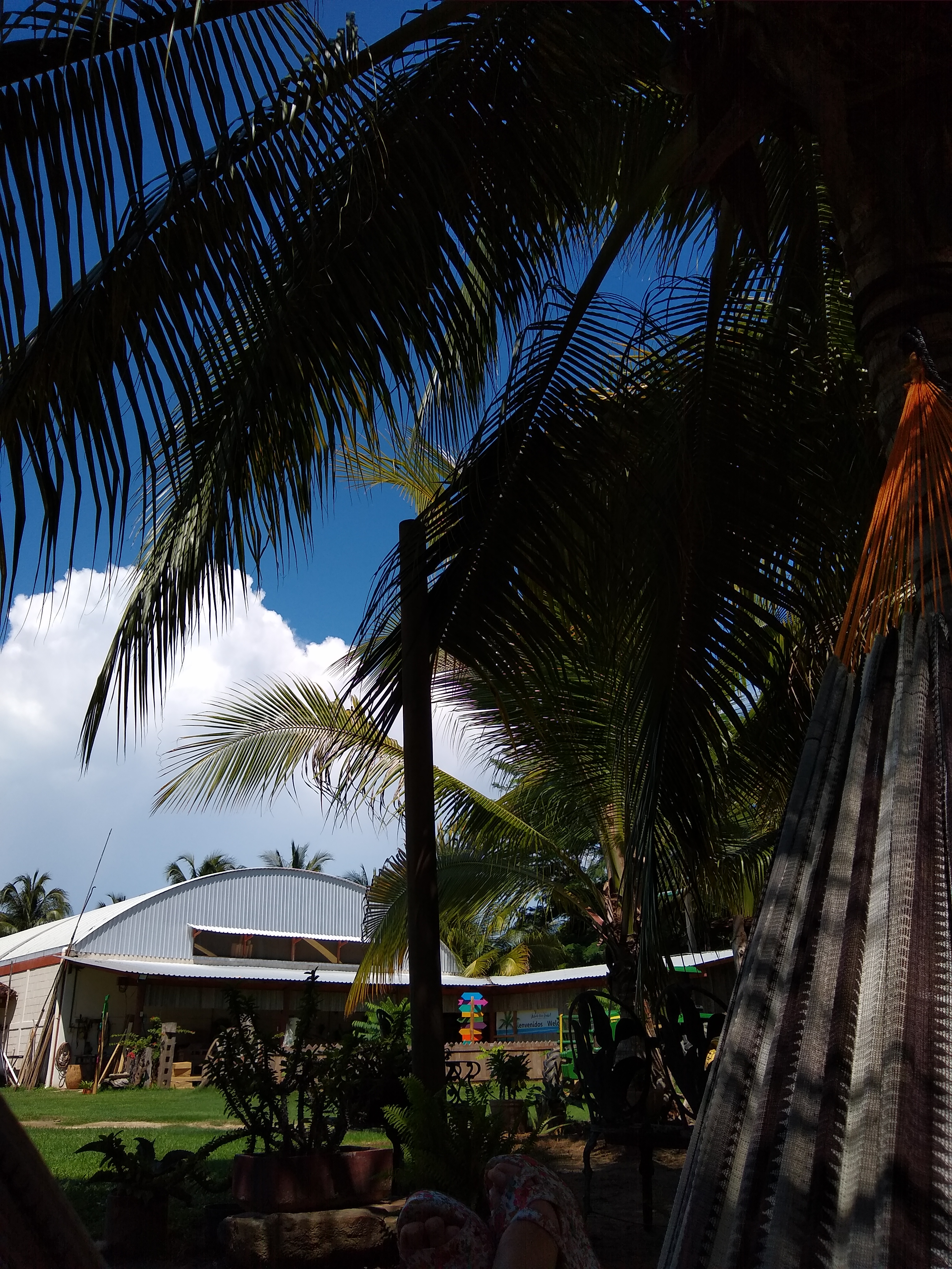 Rest. PALMARES image 7