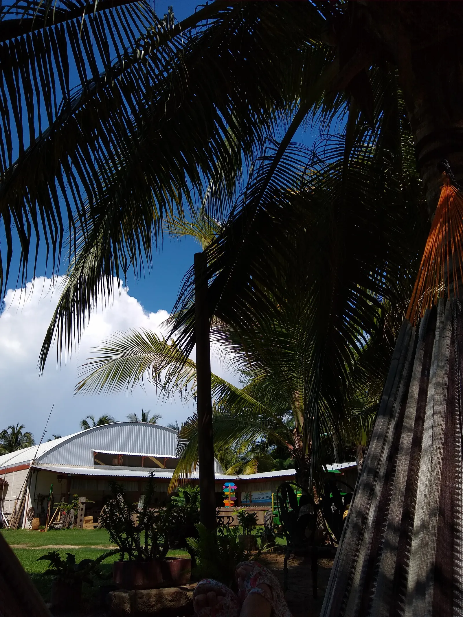 Rest. PALMARES image 7