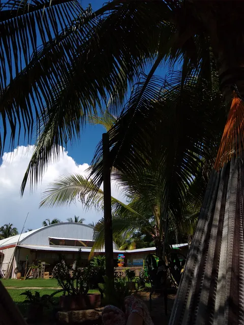 Rest. PALMARES image 7