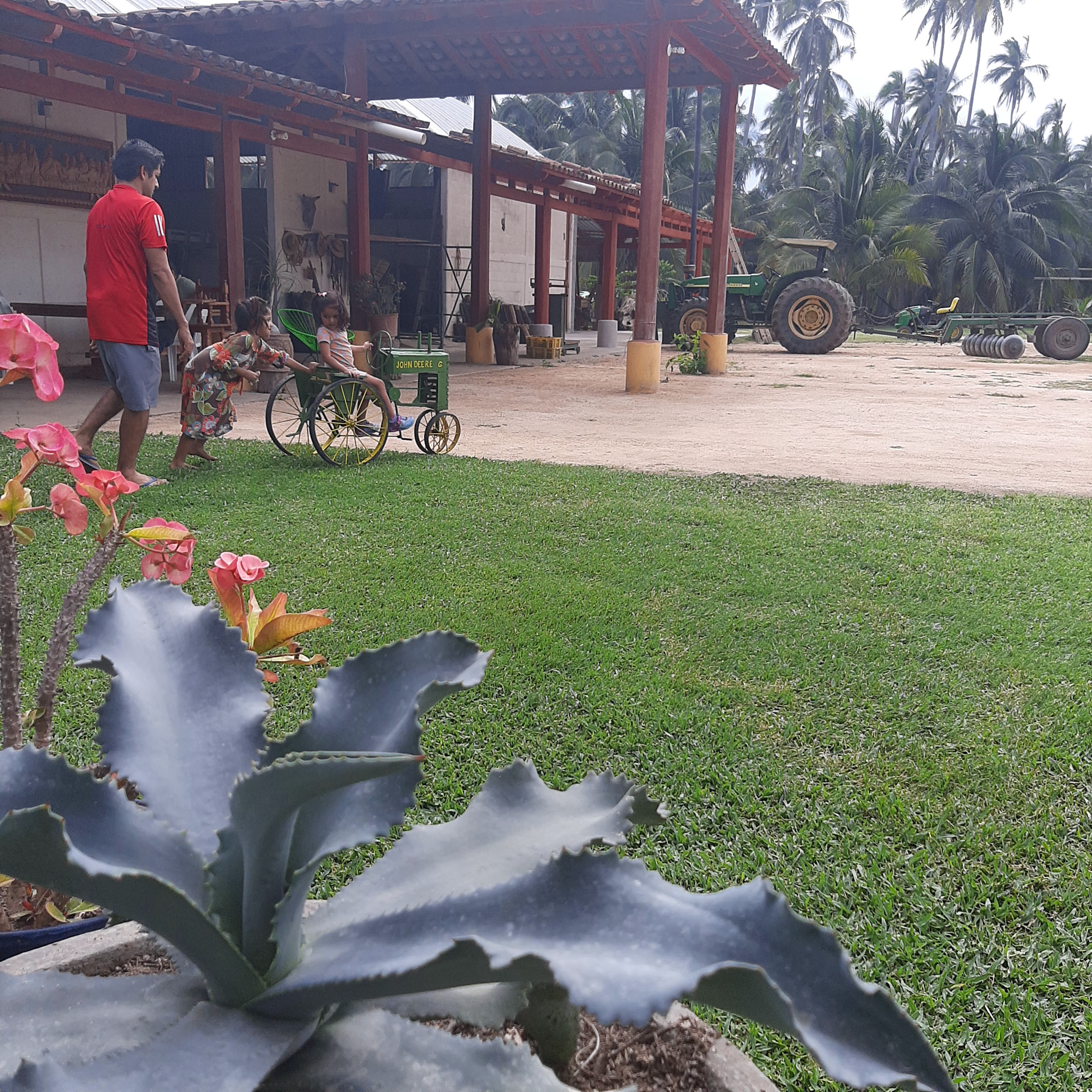 Rest. PALMARES image 8