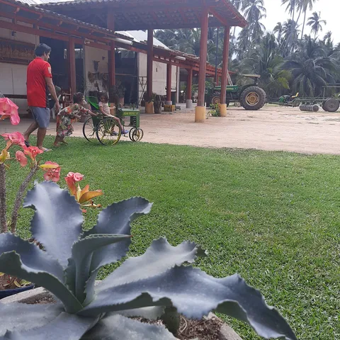 Rest. PALMARES image 8