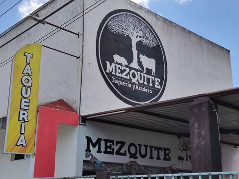 Mezquite image 2