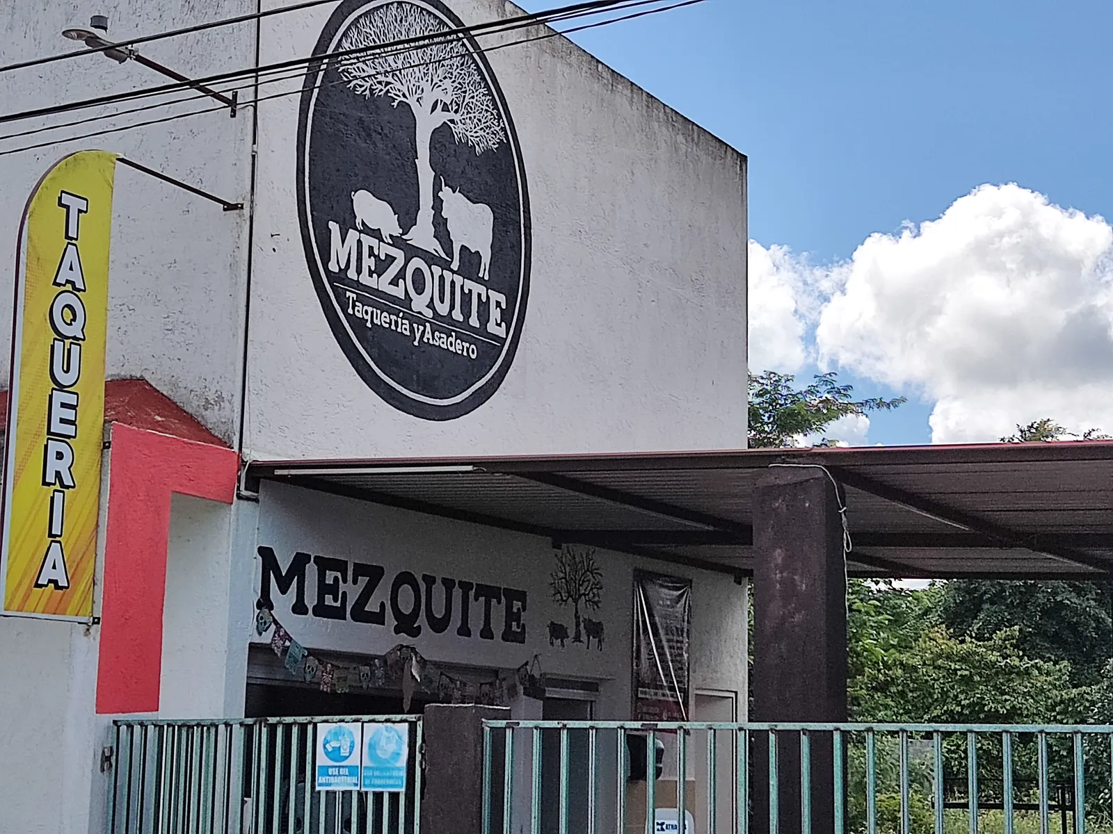 Mezquite image 7