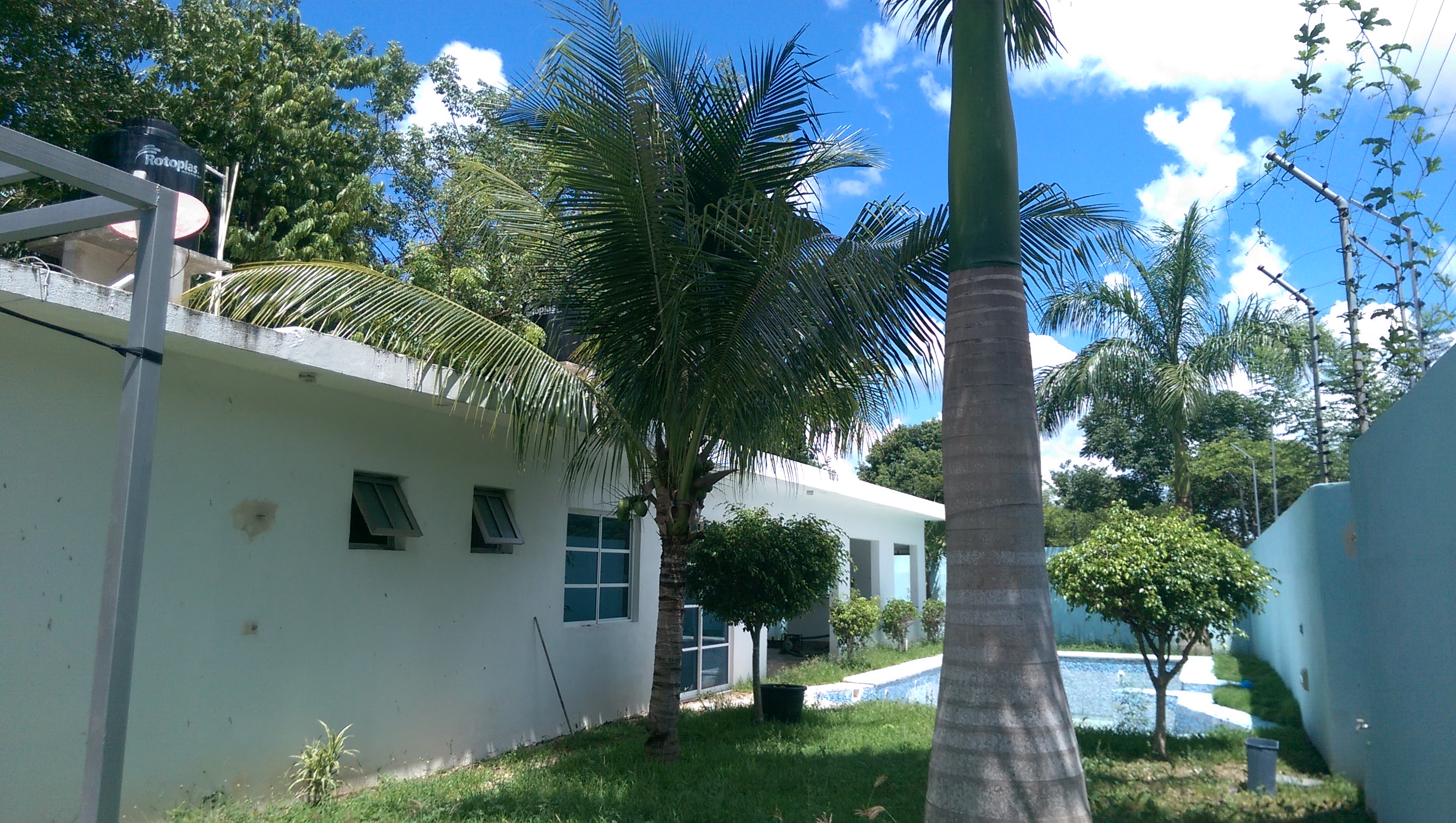 EL Nuevo Oriente image 4