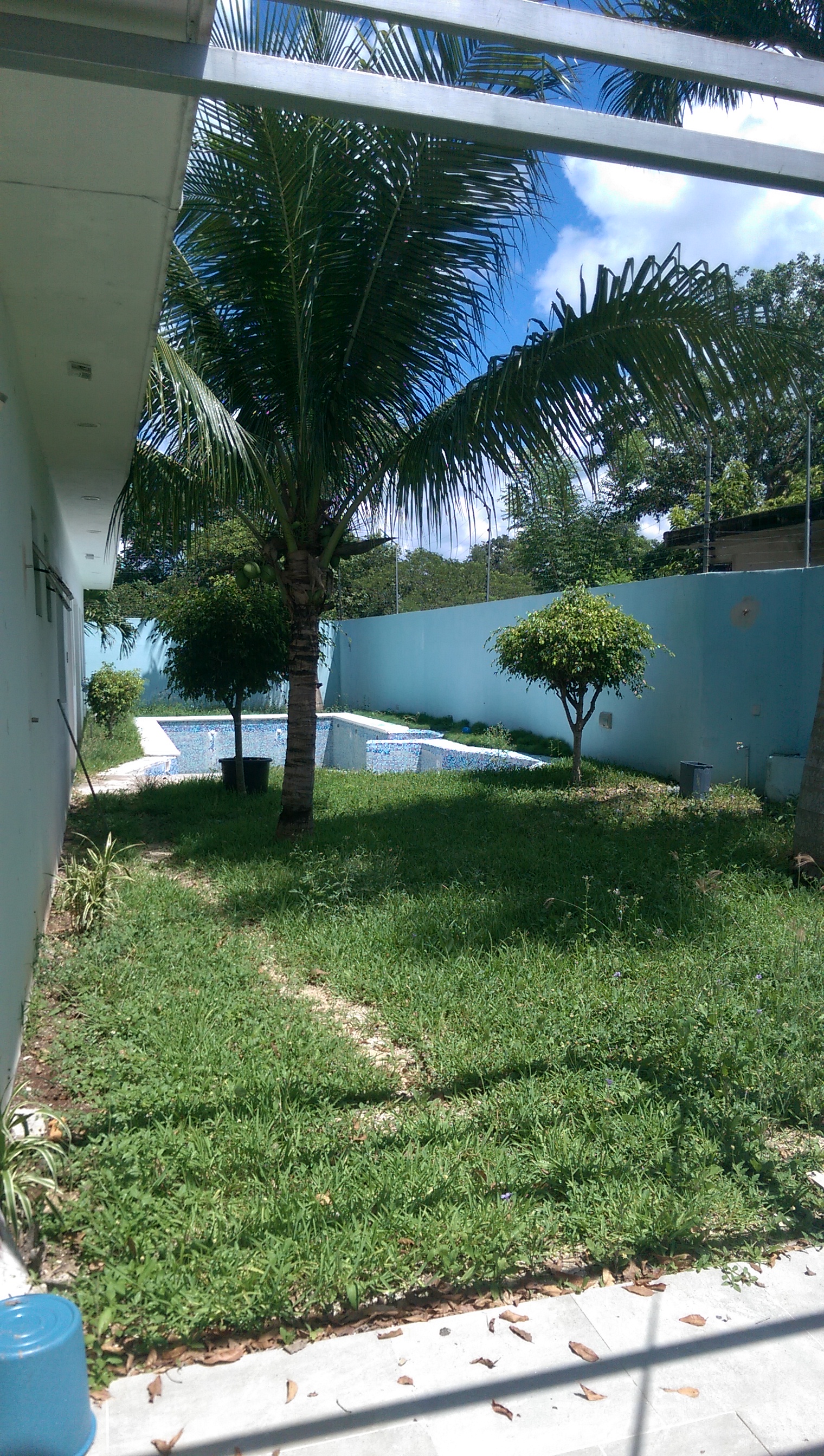 EL Nuevo Oriente image 6