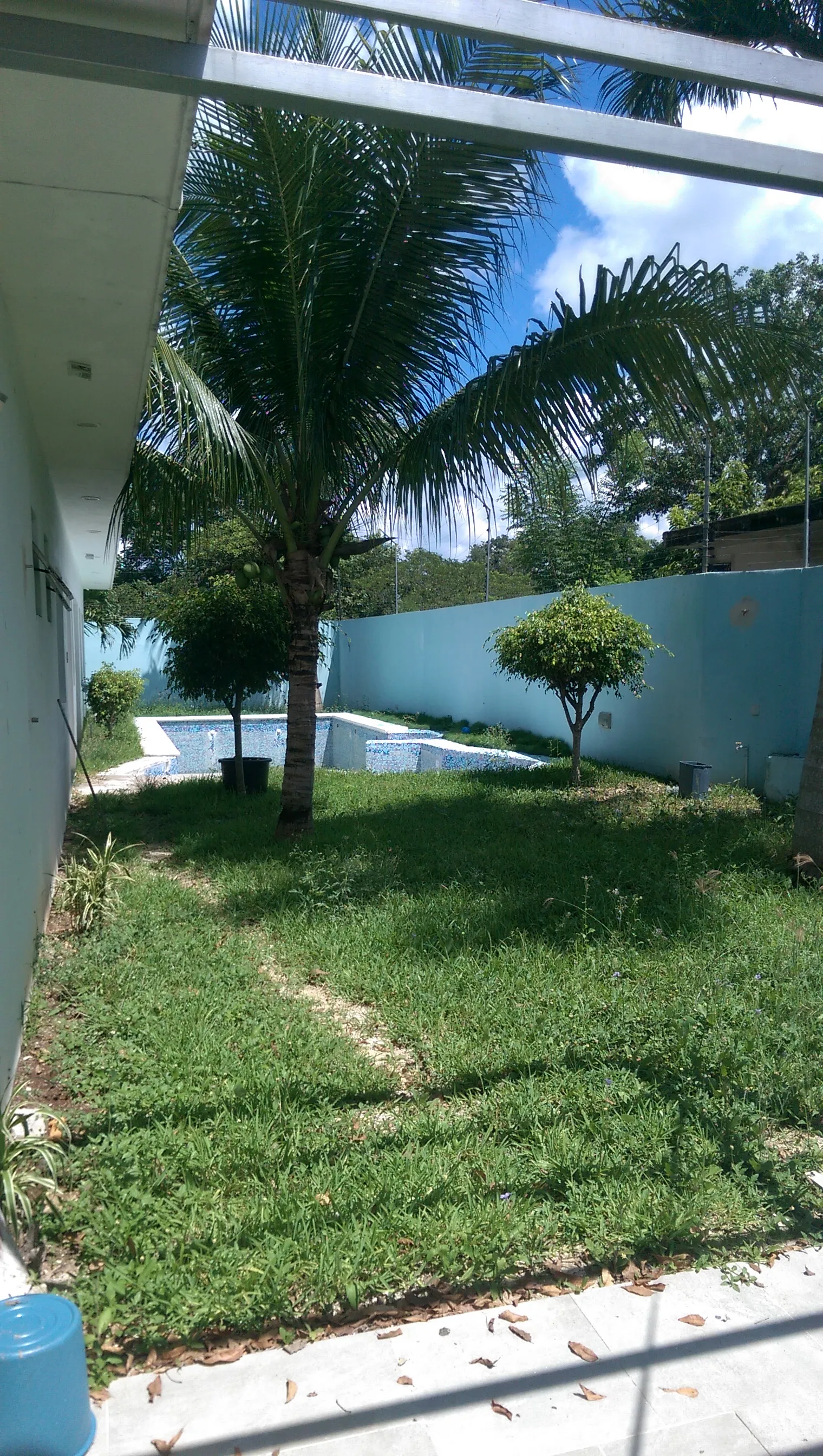 EL Nuevo Oriente image 6