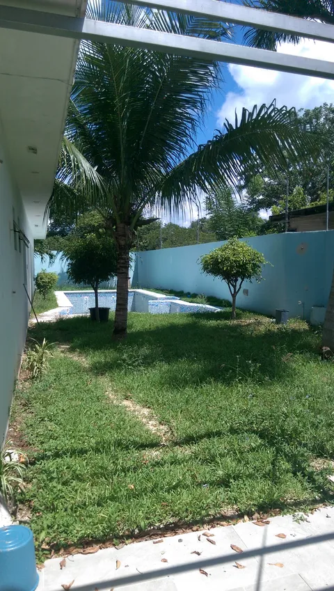 EL Nuevo Oriente image 6