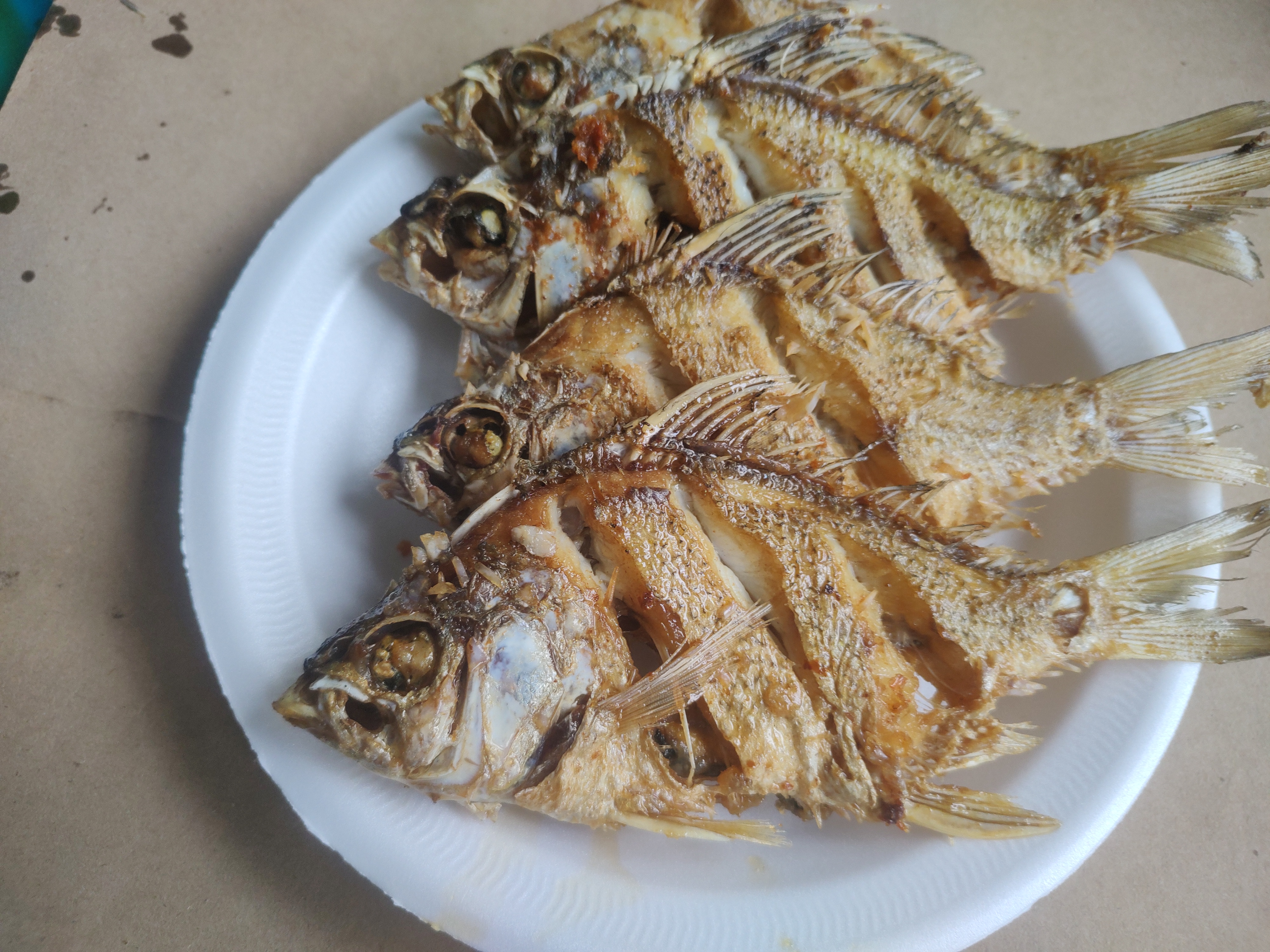 La Almeja Tizimín image 3