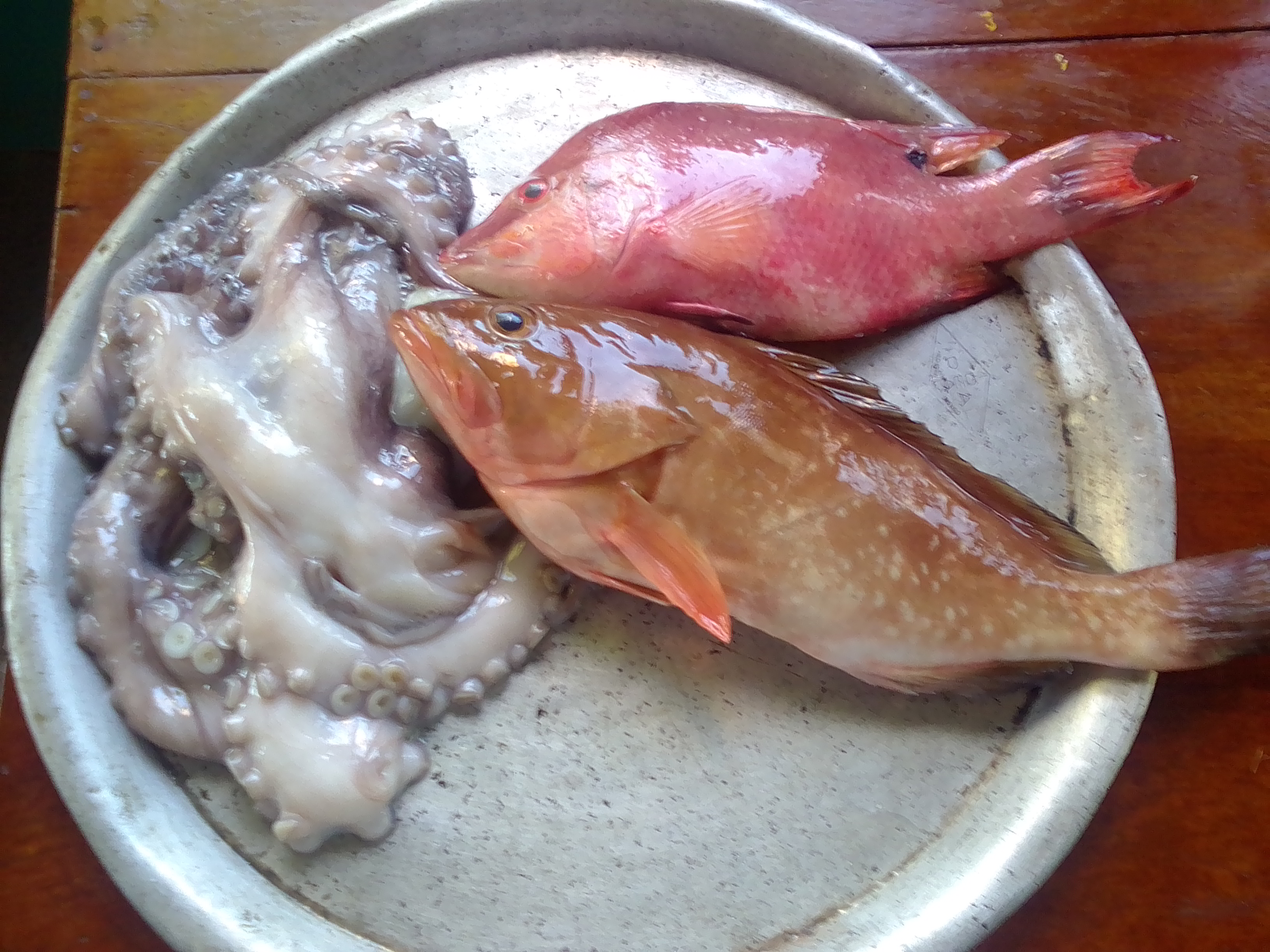 La Almeja Tizimín image 9