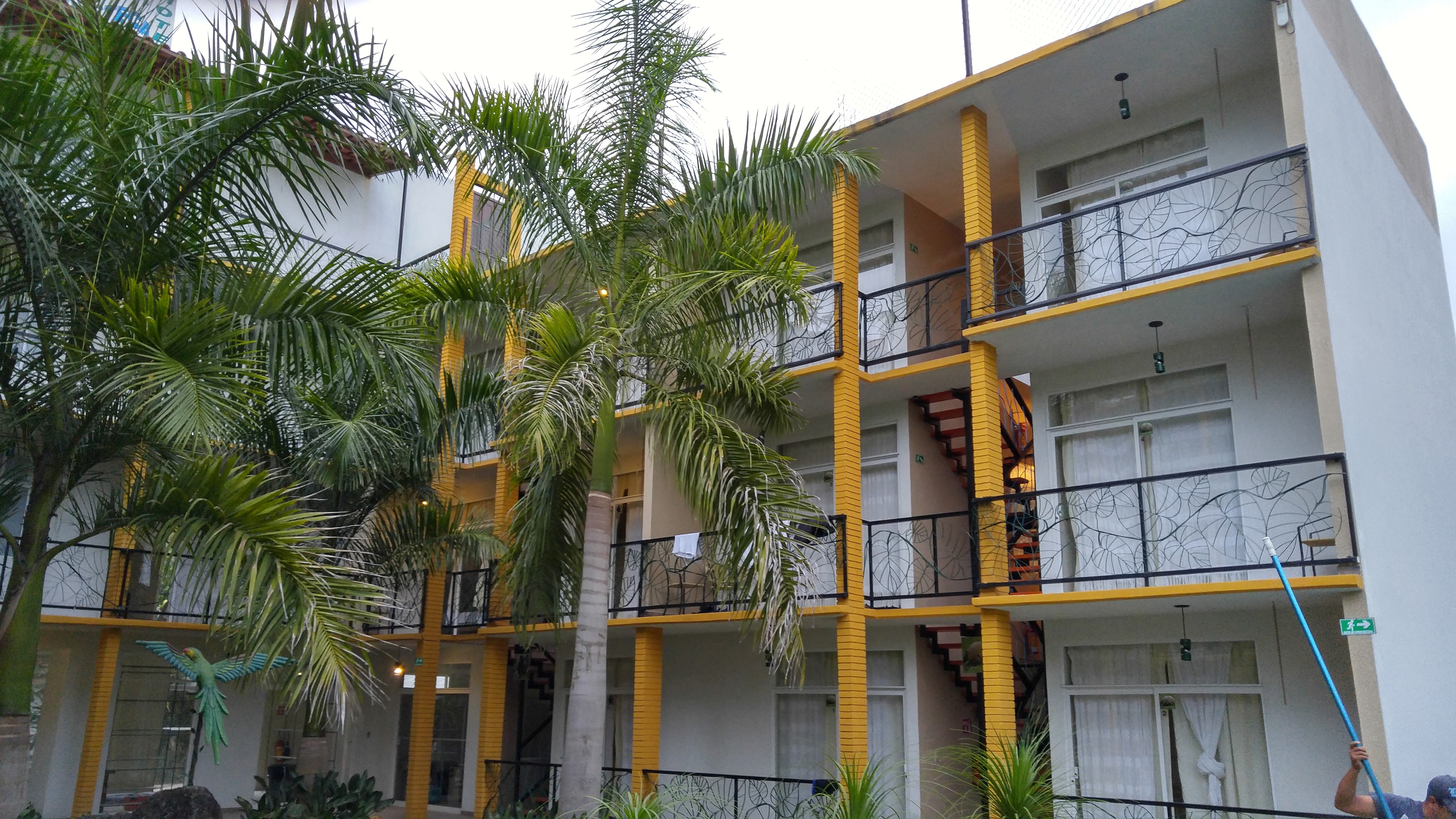 Sabor Huasteco image 4