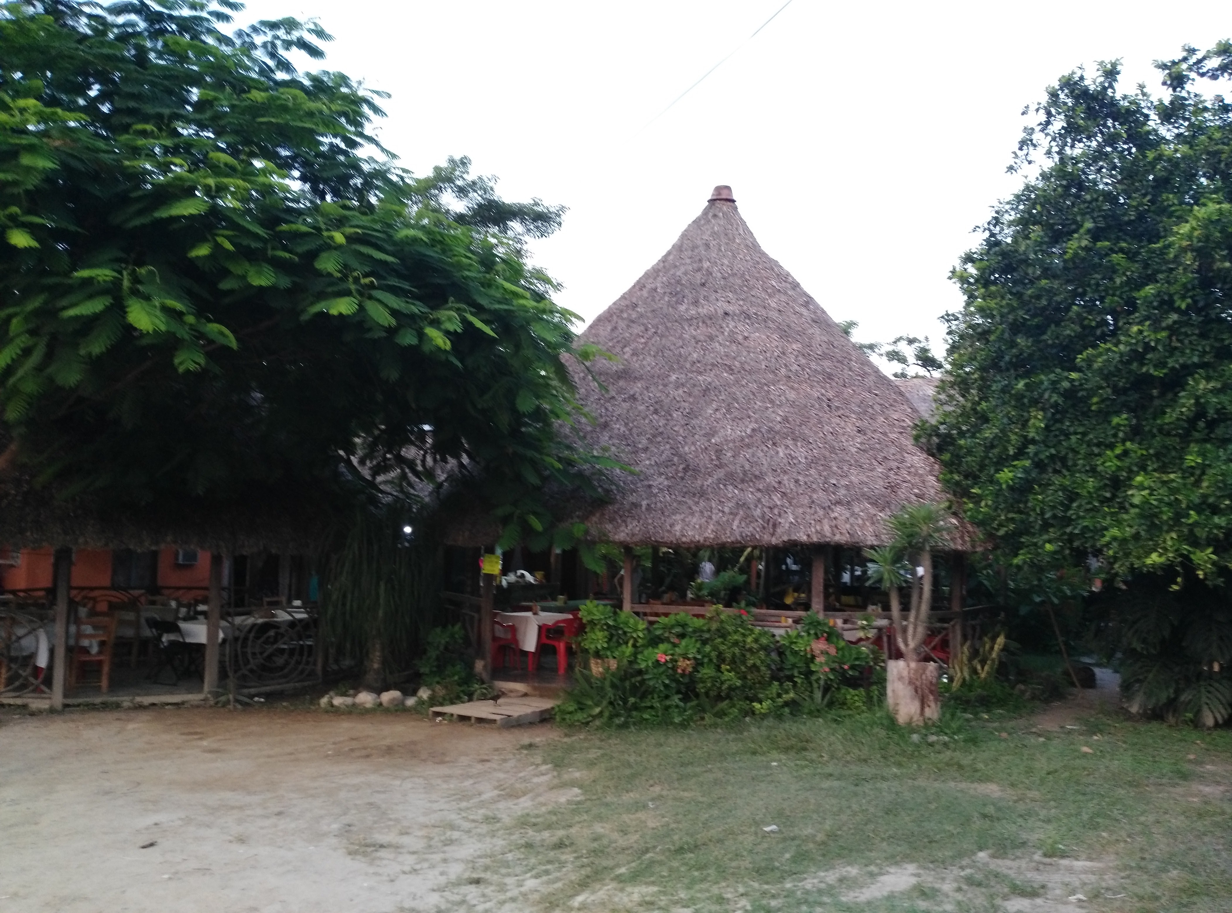 Sabor Huasteco image 8