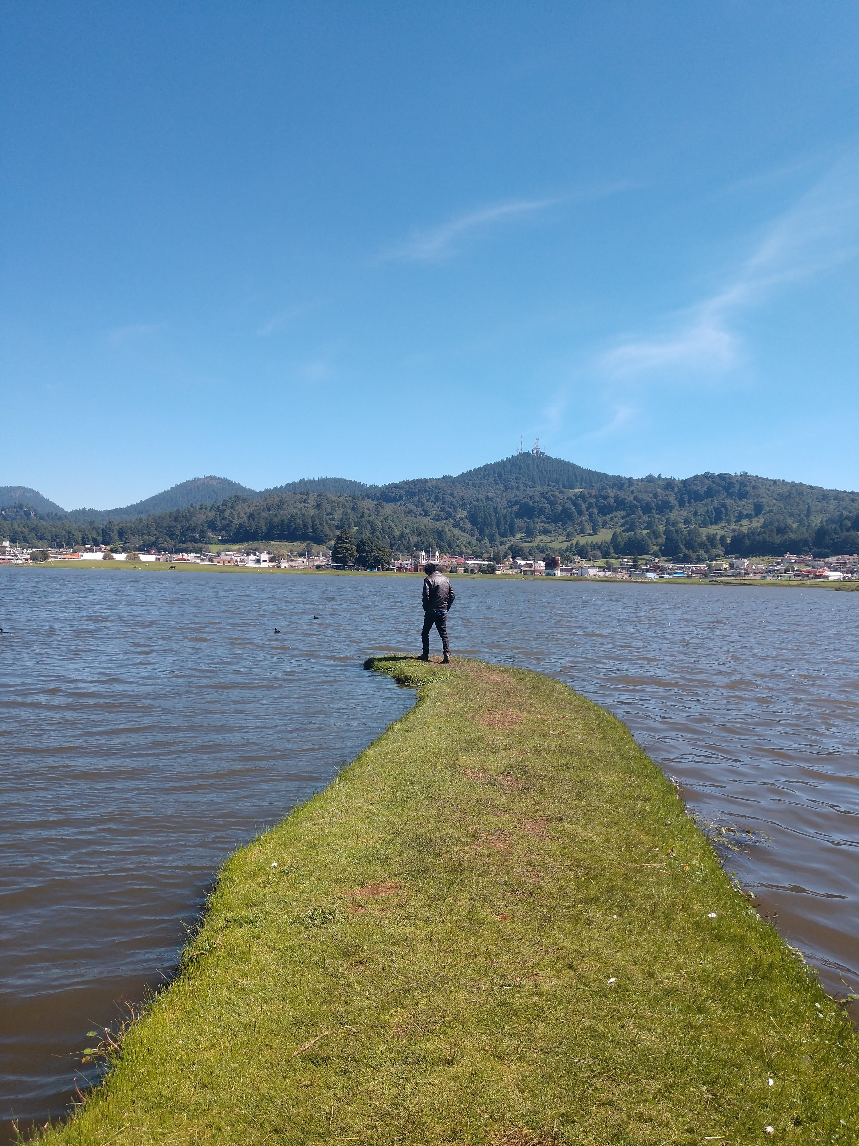 LA CABAÑA DE LAS ROSAS image 9