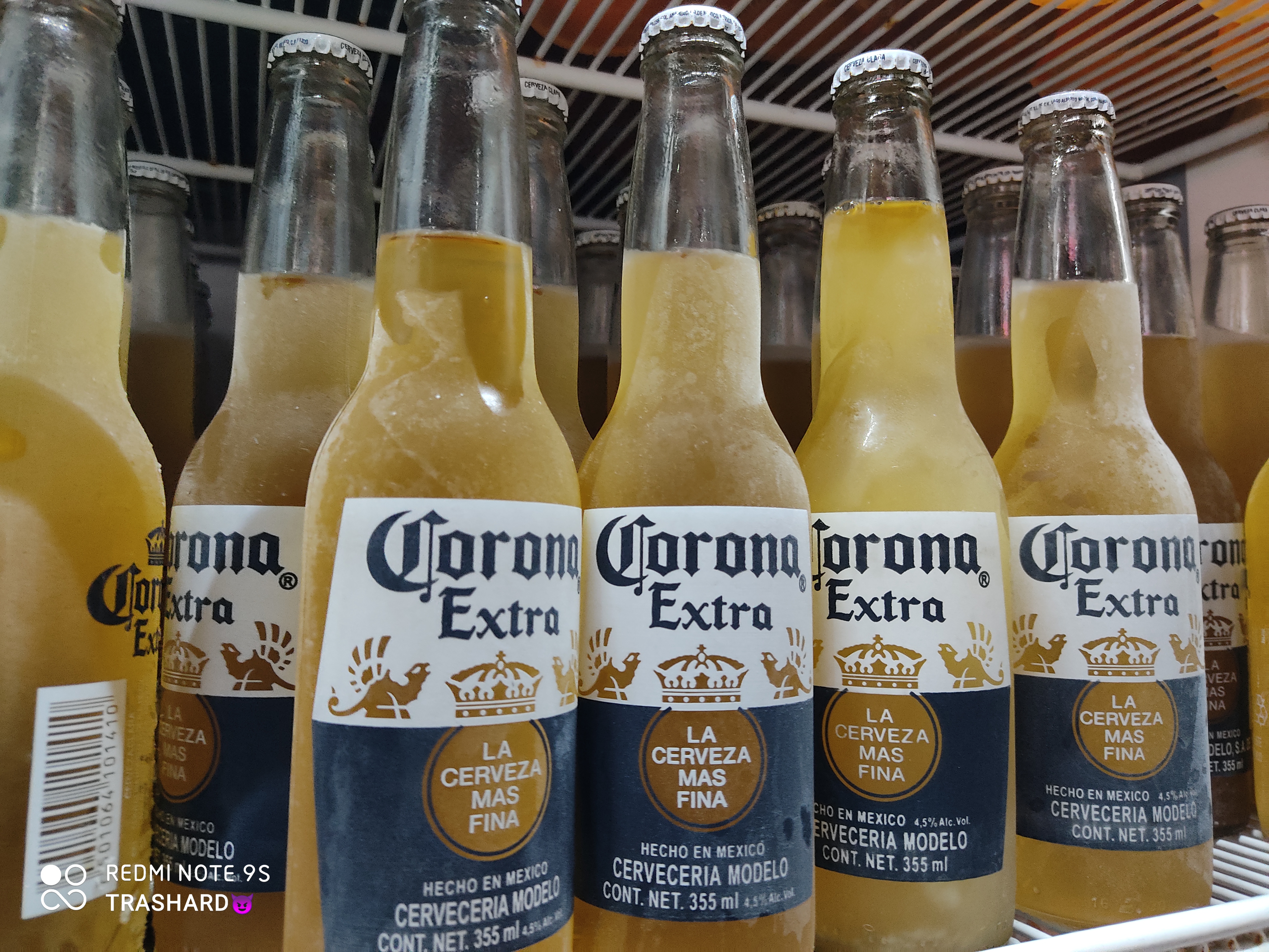 LOS AUTÉNTICOS MOLCAJETES. cabaña las truchas. image 2