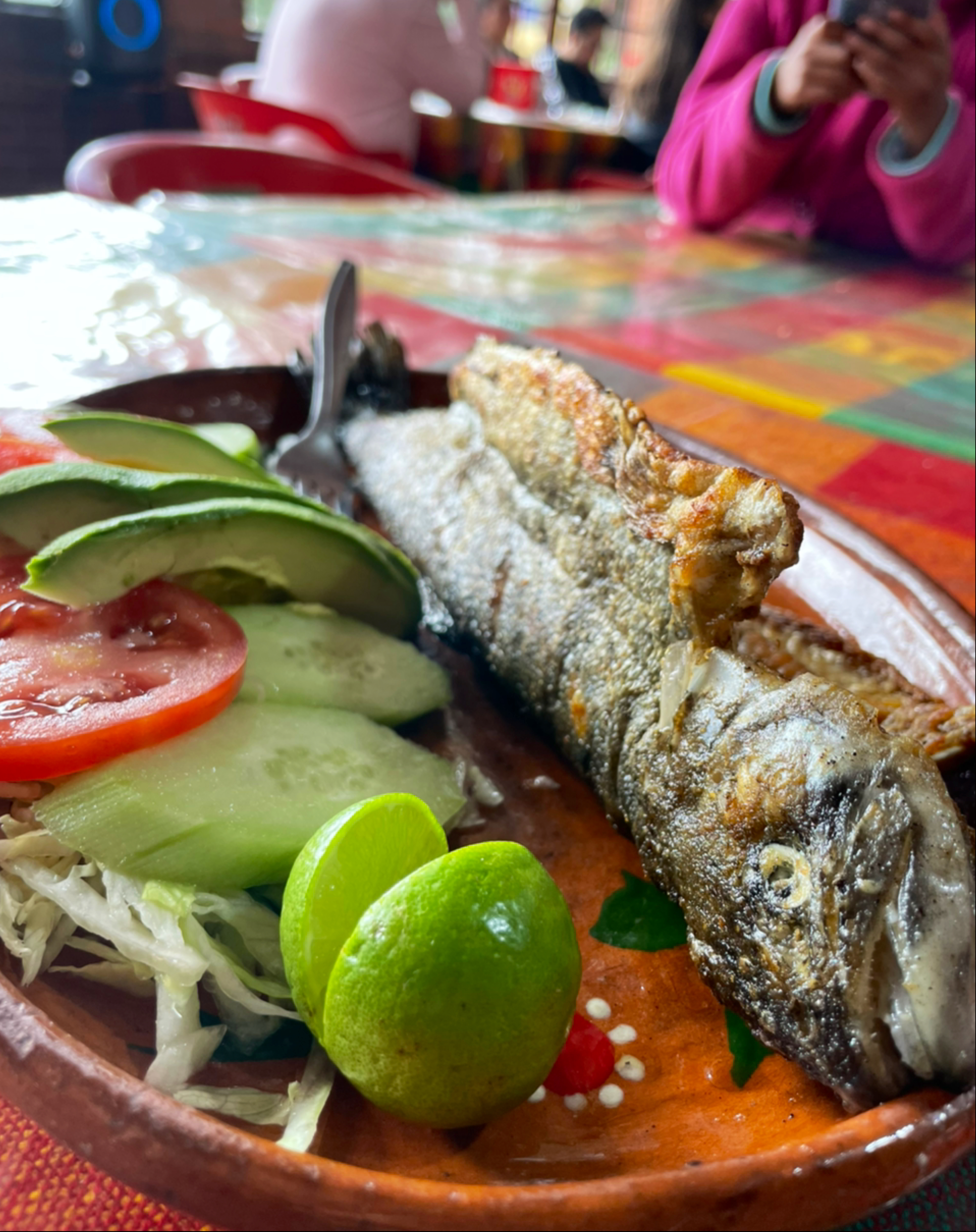 Cabaña "EL COLUMPIO image 2