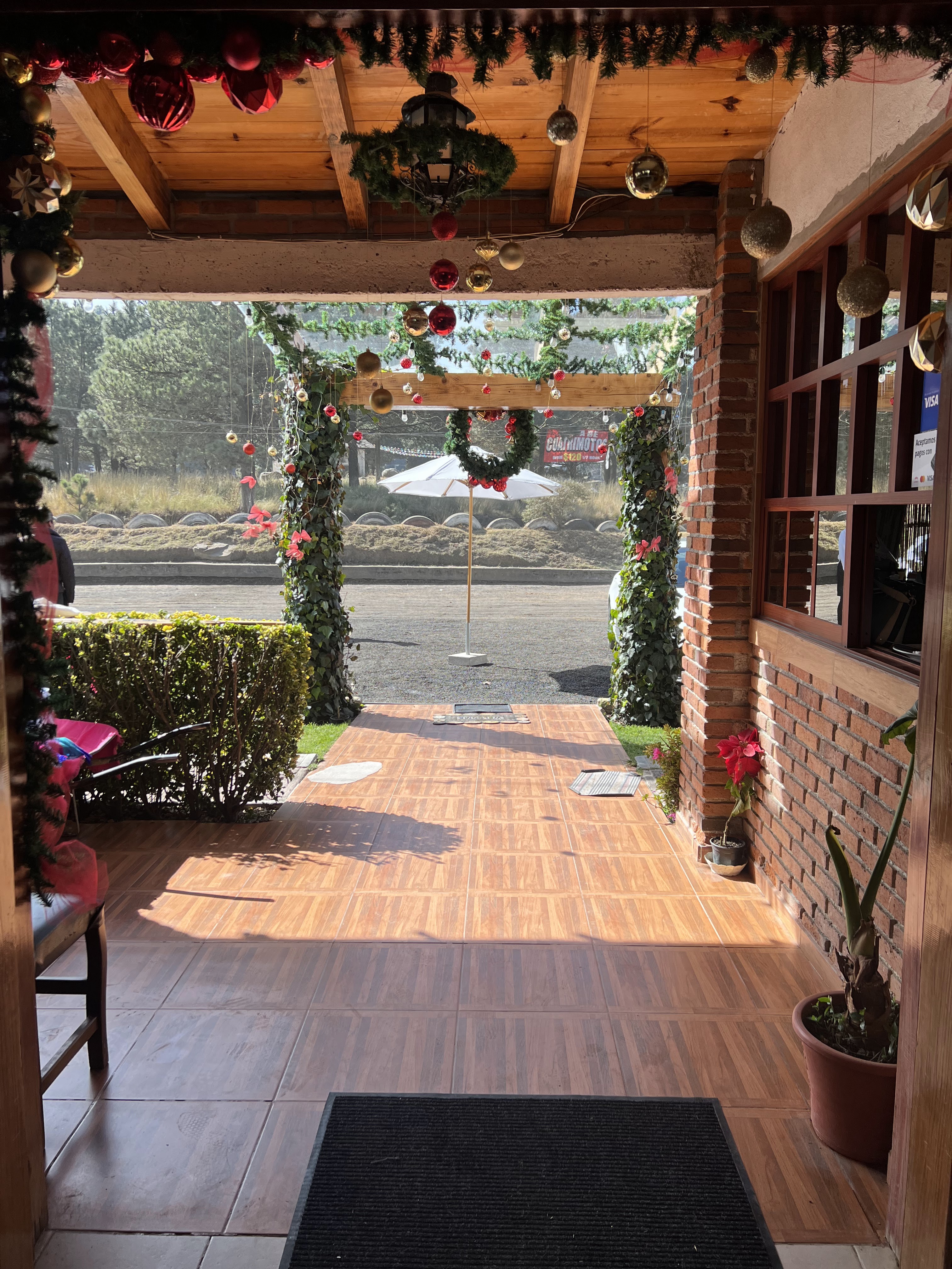 Agave Azul J&T image 1