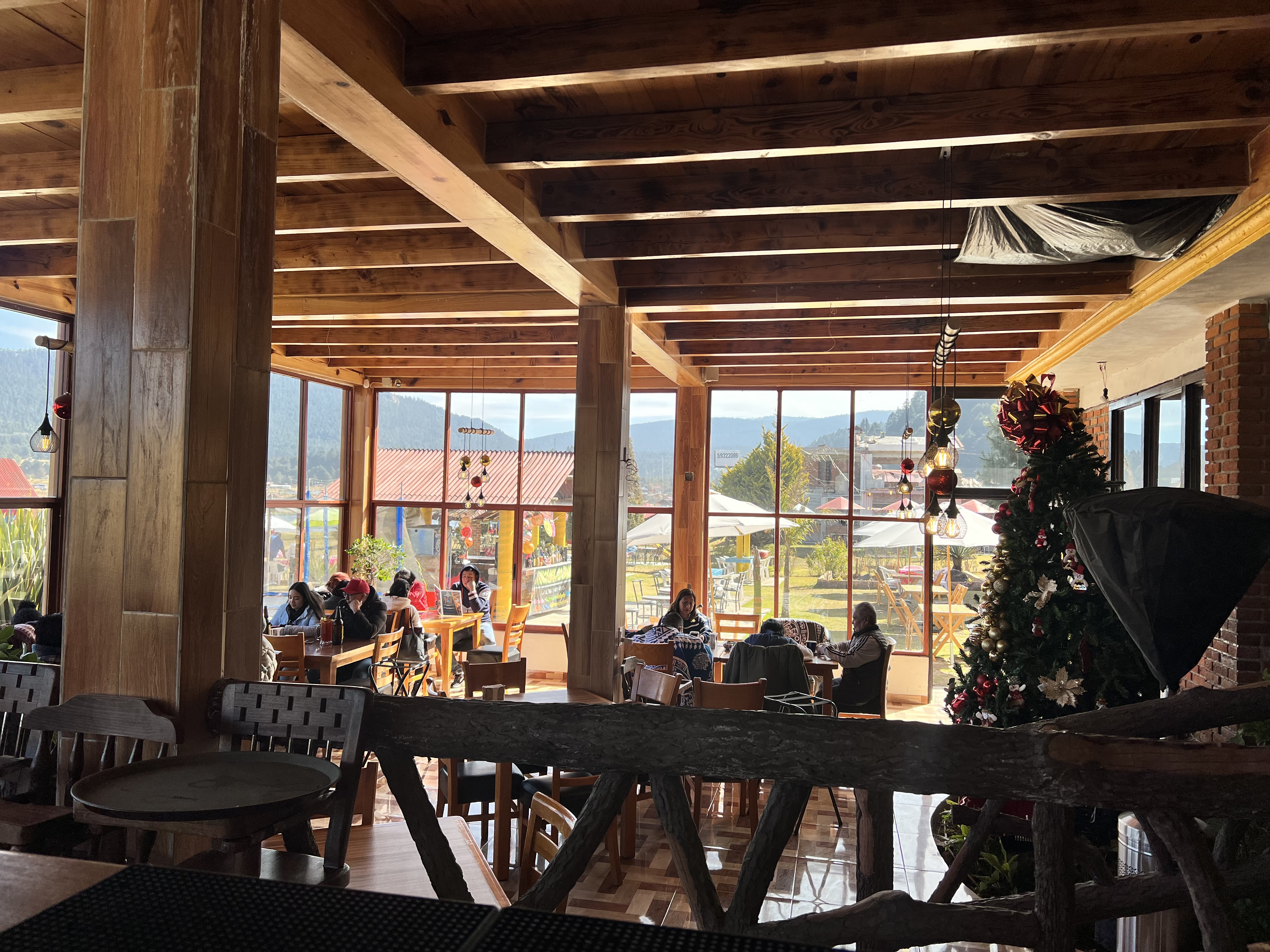 Agave Azul J&T image 2