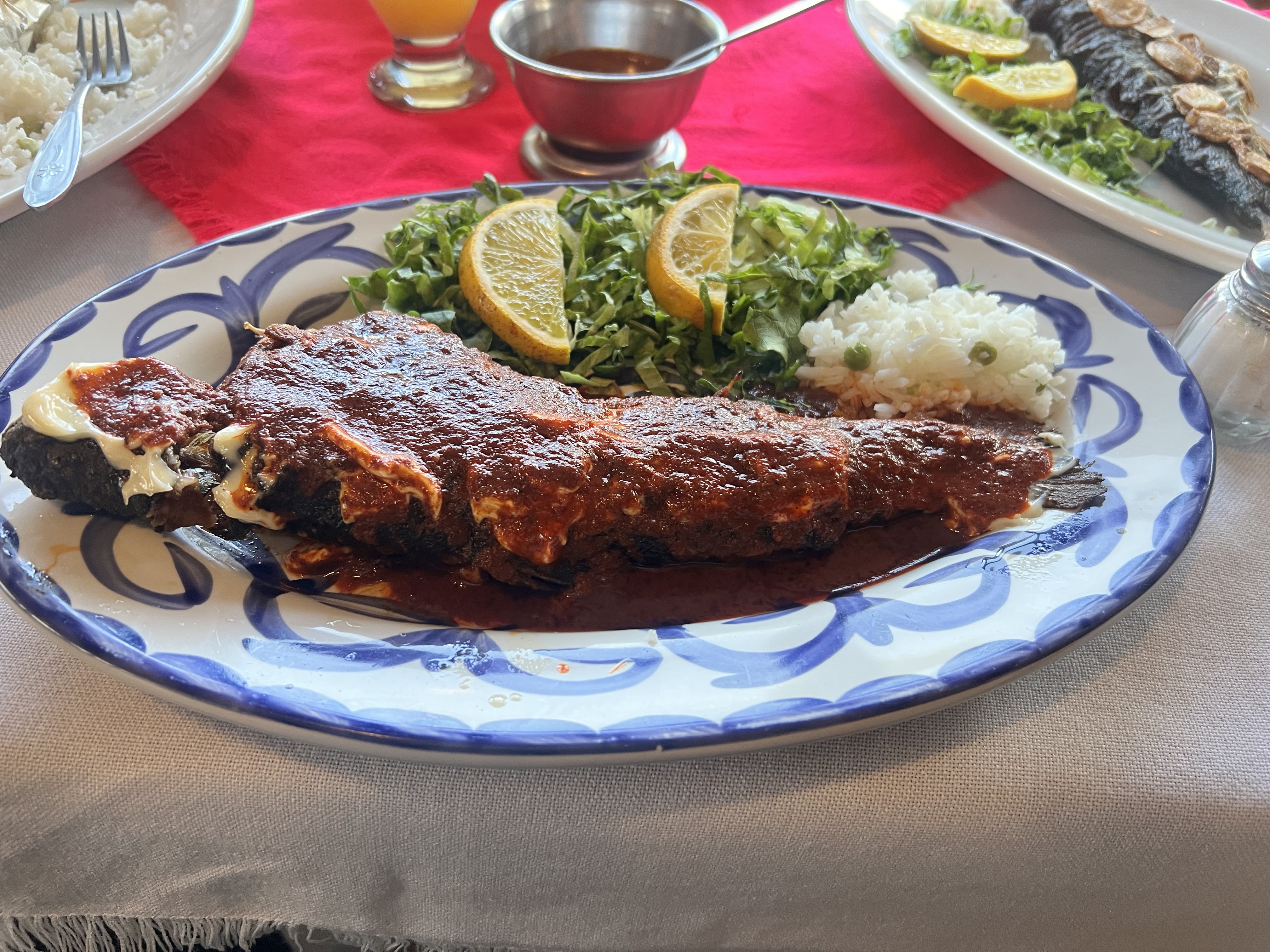 Agave Azul J&T image 6